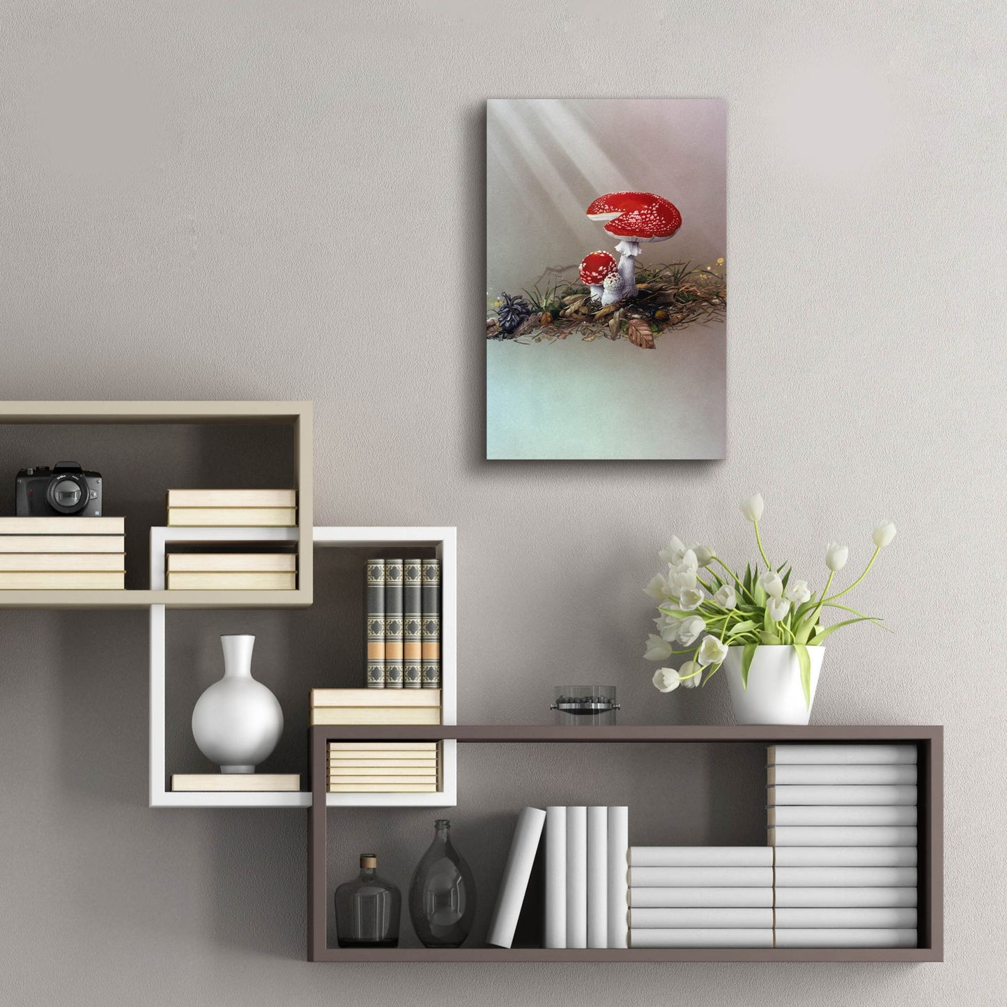 Epic Art 'Mushrooms' by Harro Maass, Acrylic Glass Wall Art,16x24