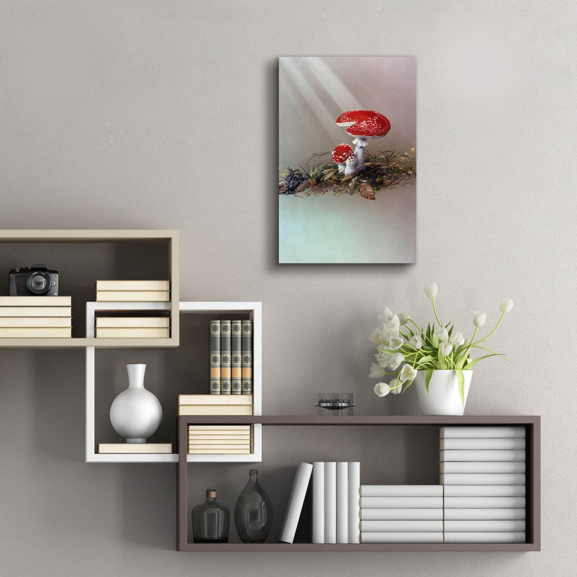 Epic Art 'Mushrooms' by Harro Maass, Acrylic Glass Wall Art,16x24