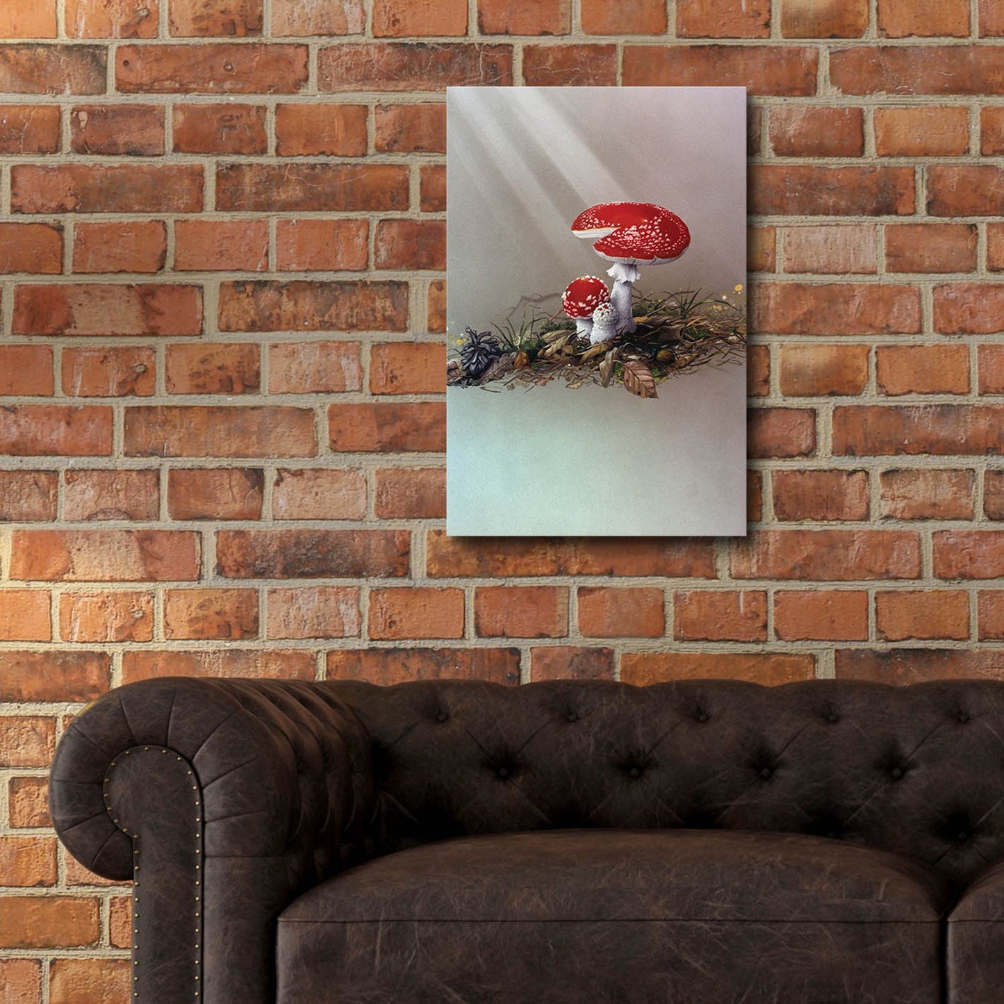 Epic Art 'Mushrooms' by Harro Maass, Acrylic Glass Wall Art,16x24