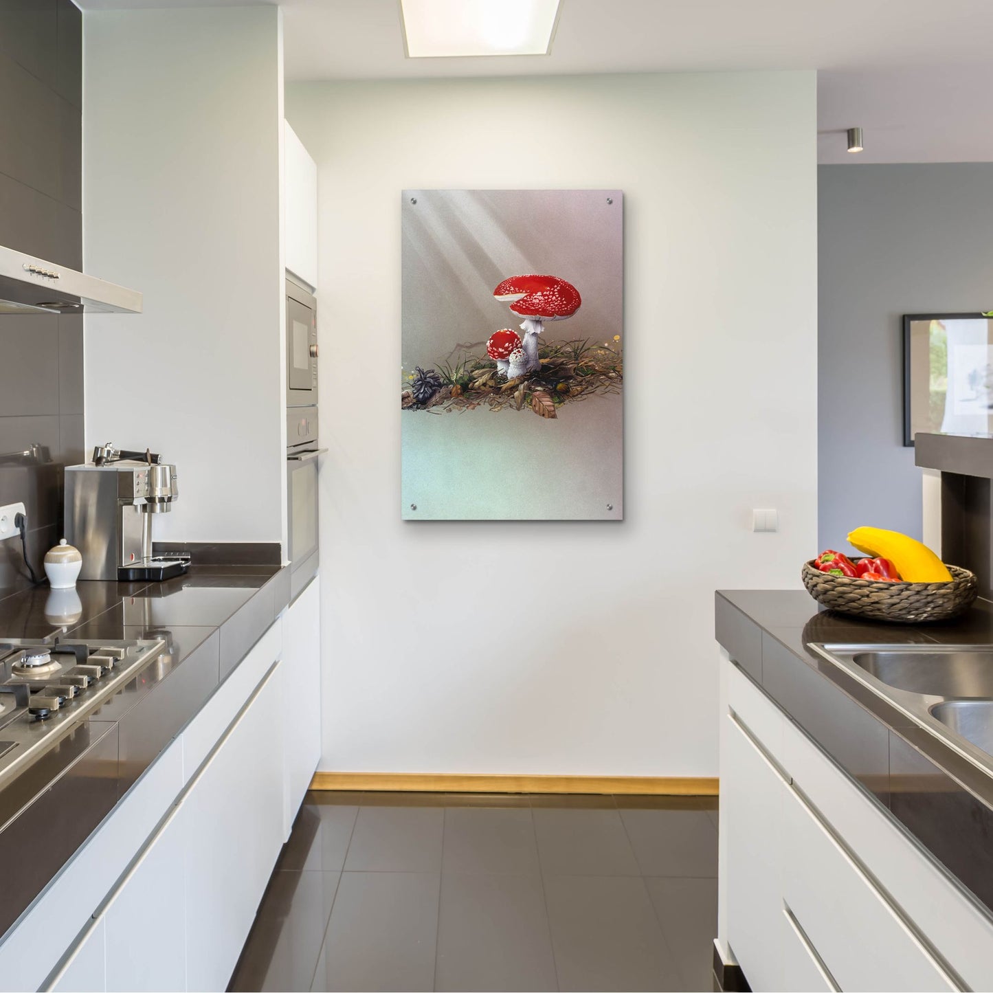 Epic Art 'Mushrooms' by Harro Maass, Acrylic Glass Wall Art,24x36