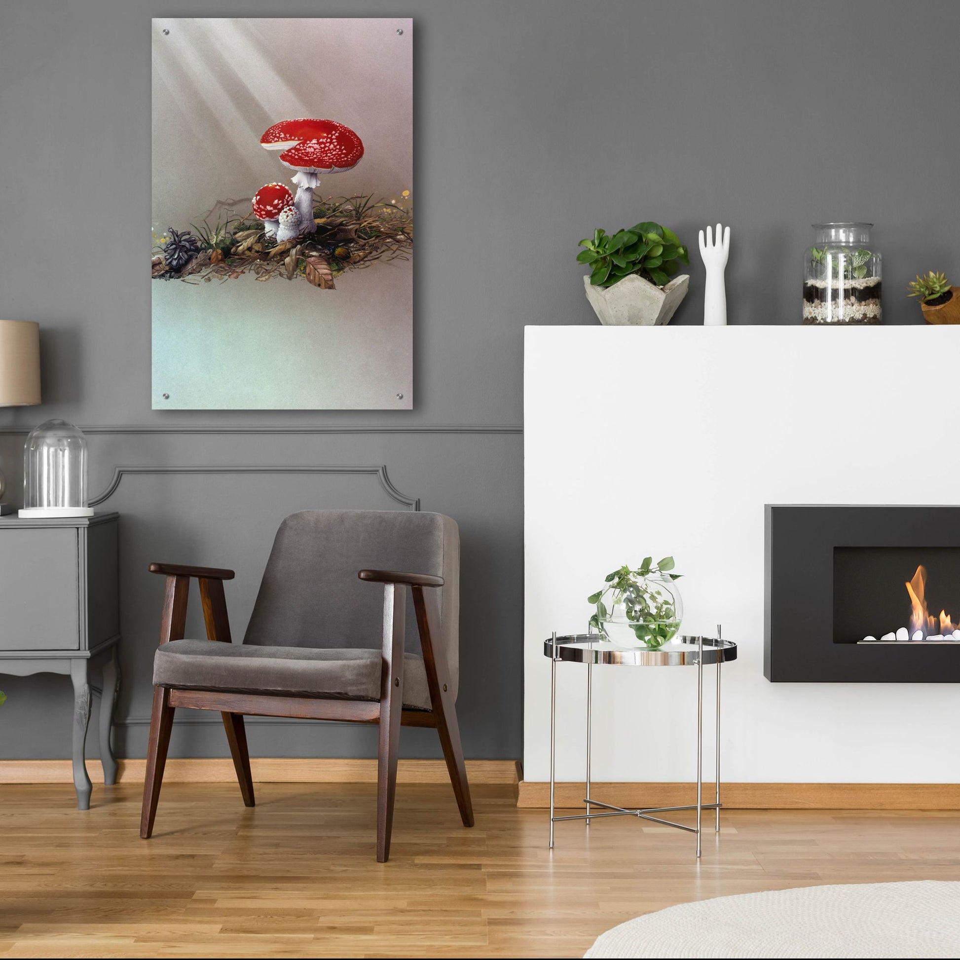 Epic Art 'Mushrooms' by Harro Maass, Acrylic Glass Wall Art,24x36