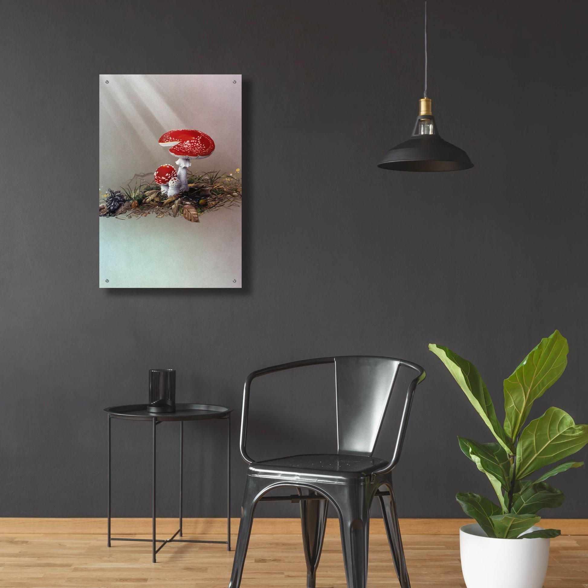 Epic Art 'Mushrooms' by Harro Maass, Acrylic Glass Wall Art,24x36