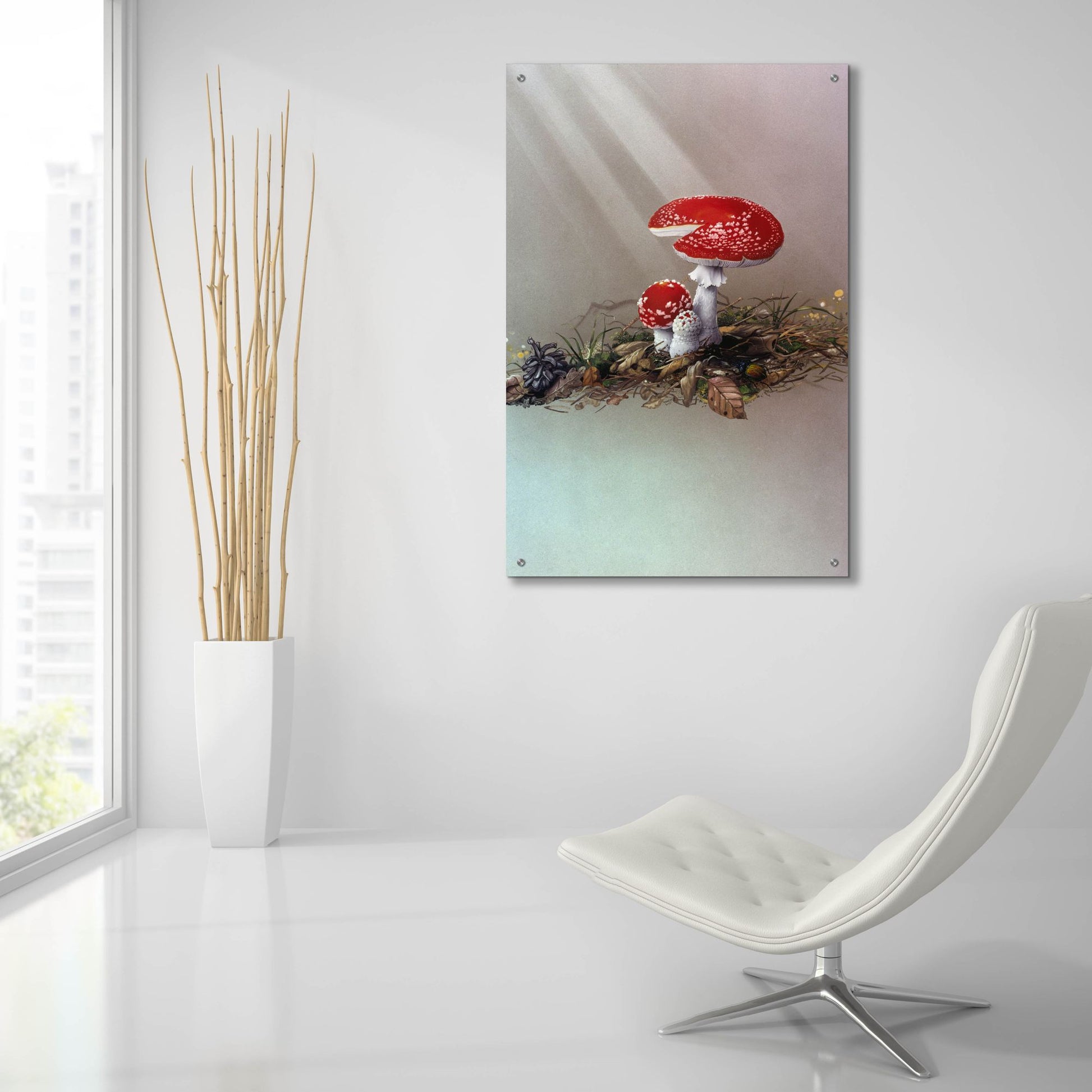 Epic Art 'Mushrooms' by Harro Maass, Acrylic Glass Wall Art,24x36