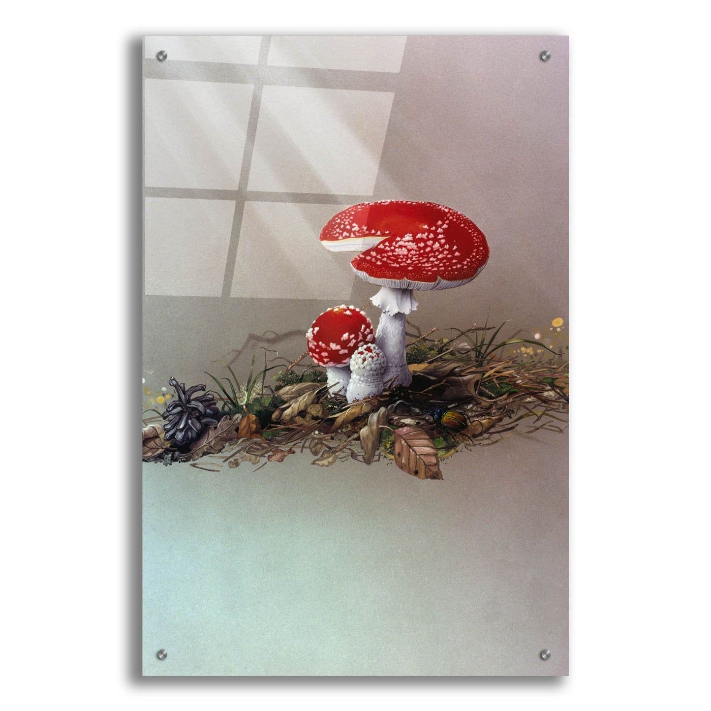 Epic Art 'Mushrooms' by Harro Maass, Acrylic Glass Wall Art,24x36
