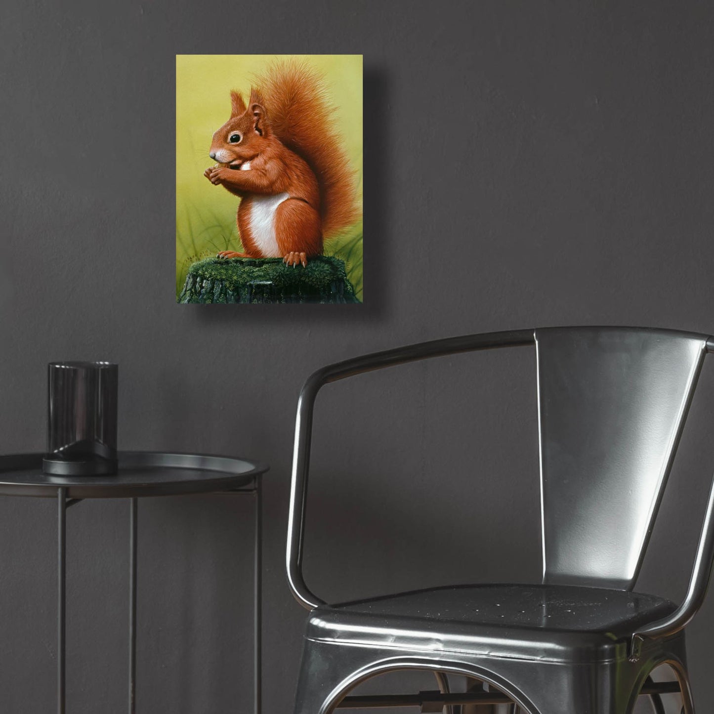 Epic Art 'Red Squirrel' by Harro Maass, Acrylic Glass Wall Art,12x16