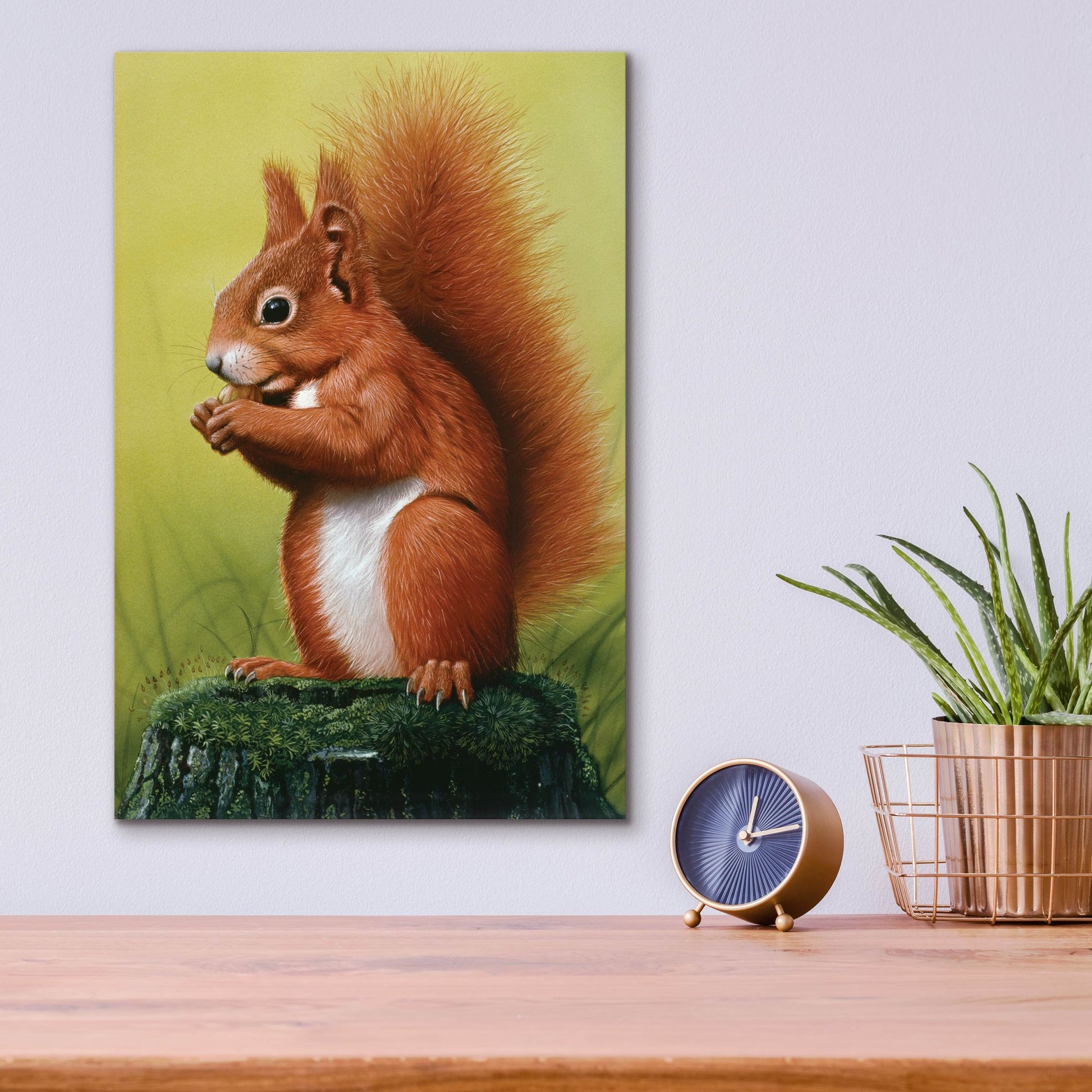 Epic Art 'Red Squirrel' by Harro Maass, Acrylic Glass Wall Art,12x16