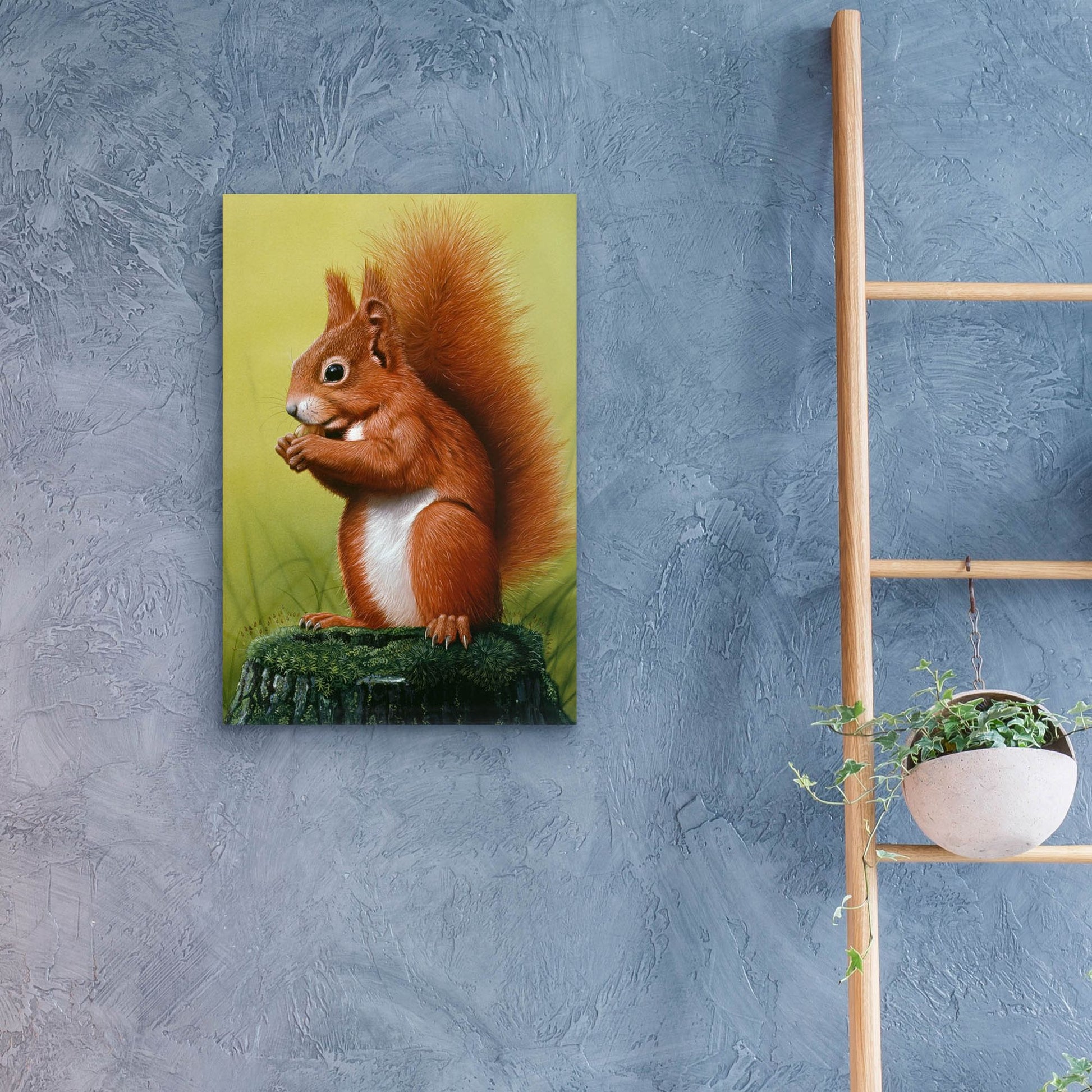 Epic Art 'Red Squirrel' by Harro Maass, Acrylic Glass Wall Art,16x24