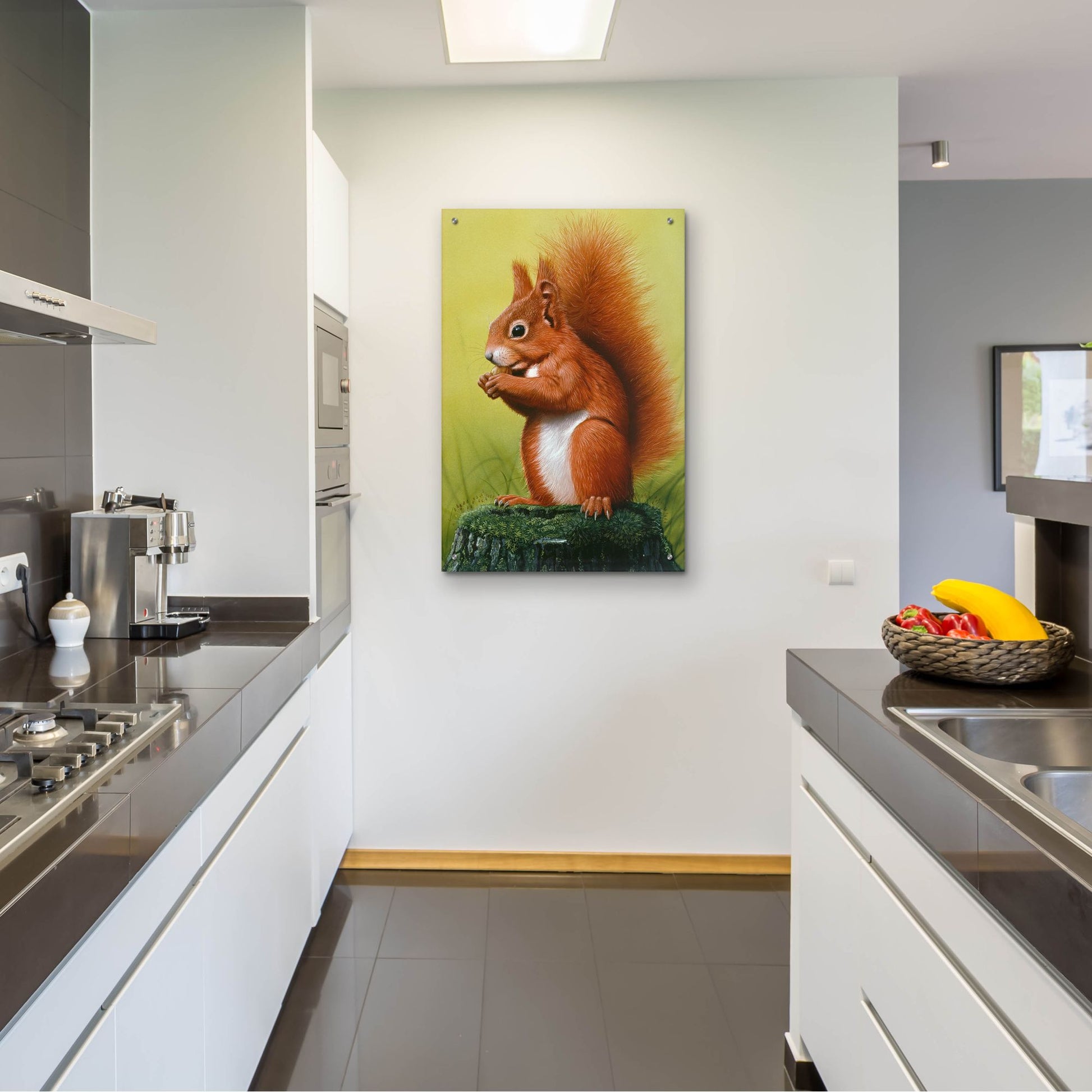 Epic Art 'Red Squirrel' by Harro Maass, Acrylic Glass Wall Art,24x36