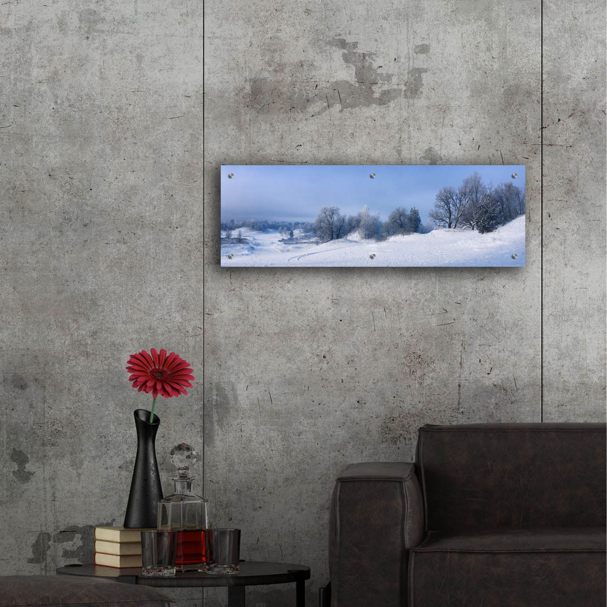 Epic Art 'Panorama Winter Dunes' by Istvan Nagy, Acrylic Glass Wall Art,36x12