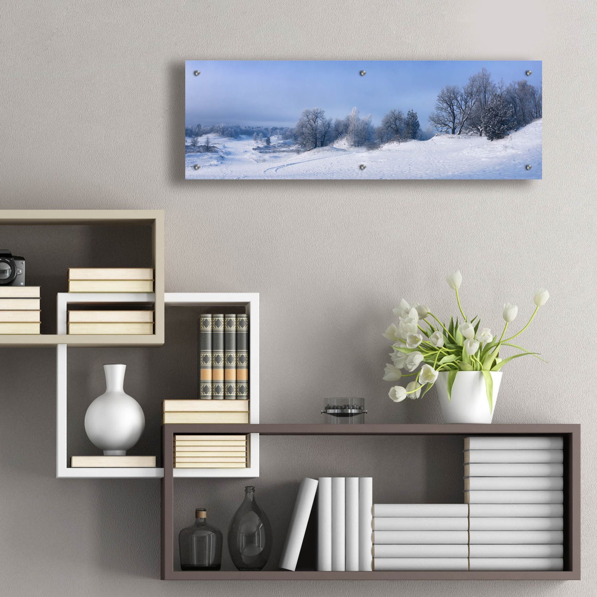 Epic Art 'Panorama Winter Dunes' by Istvan Nagy, Acrylic Glass Wall Art,36x12