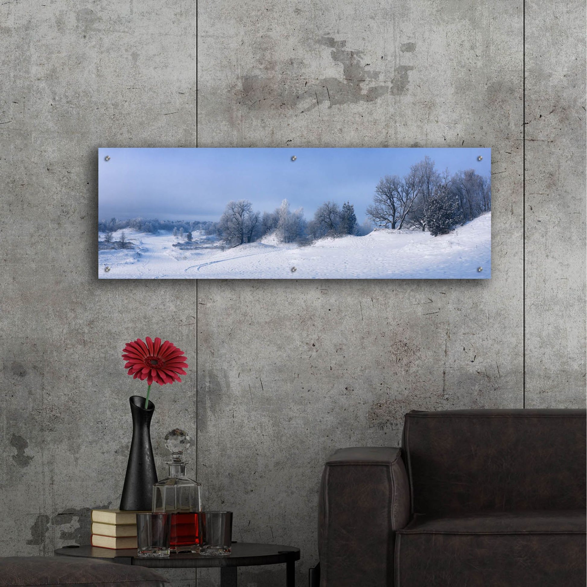 Epic Art 'Panorama Winter Dunes' by Istvan Nagy, Acrylic Glass Wall Art,48x16