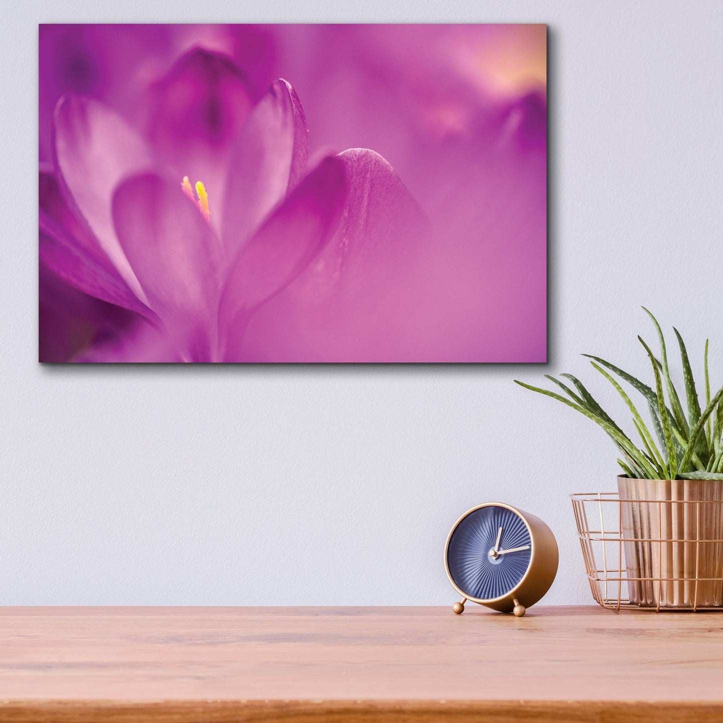 Epic Art 'Purple Flower Study' by Istvan Nagy, Acrylic Glass Wall Art,16x12