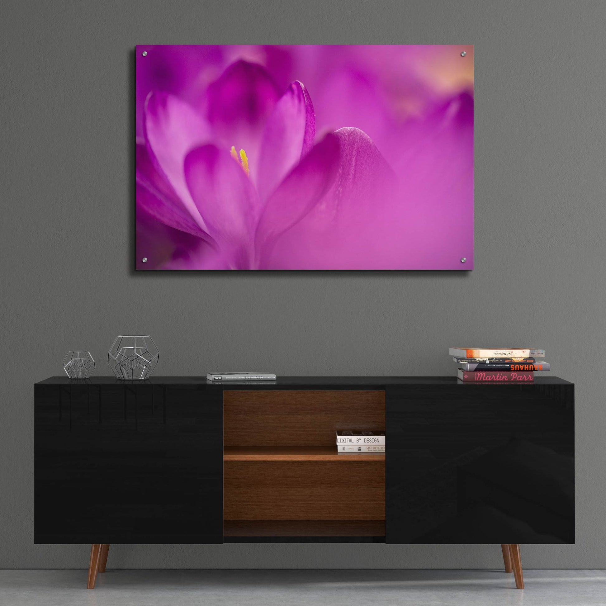 Epic Art 'Purple Flower Study' by Istvan Nagy, Acrylic Glass Wall Art,36x24