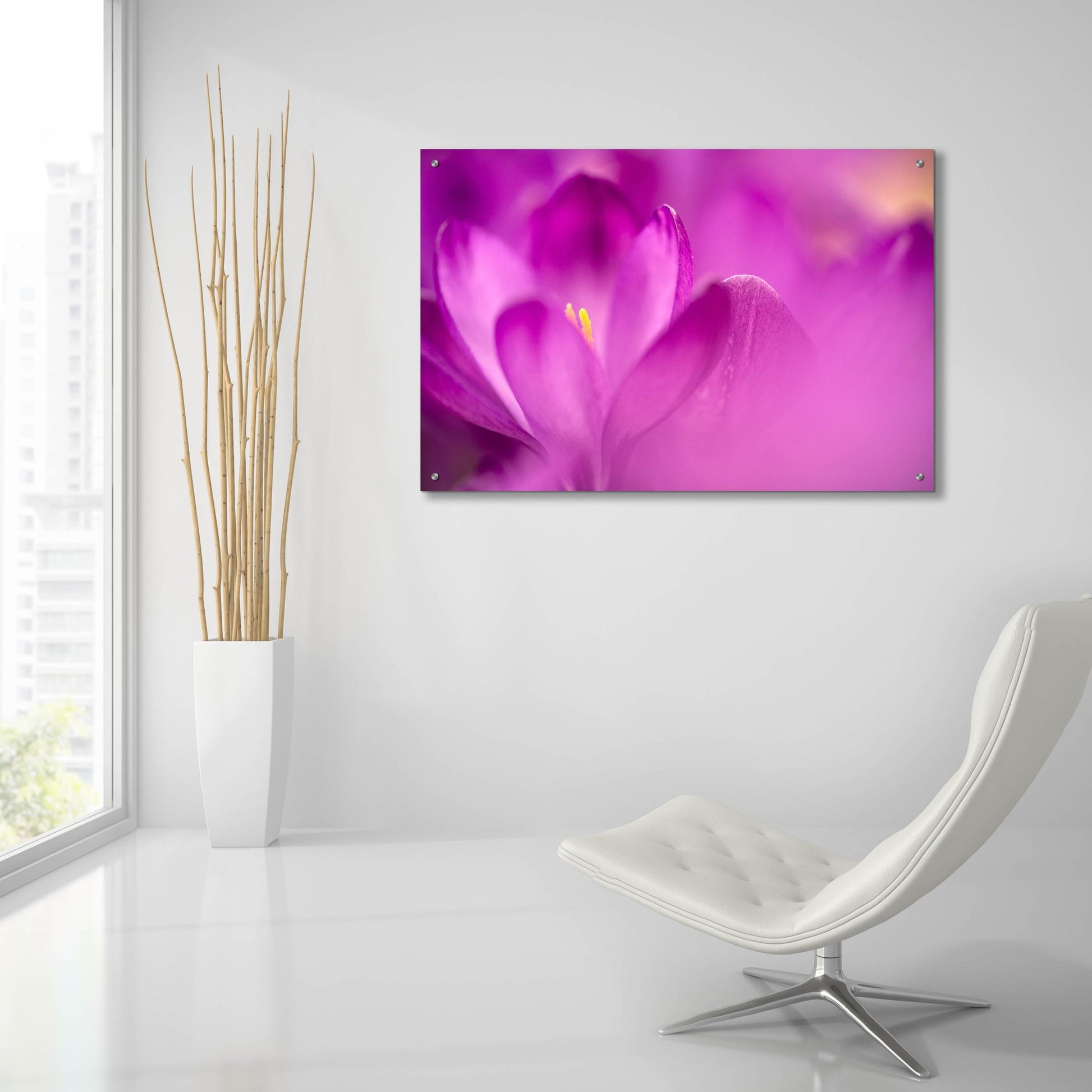 Epic Art 'Purple Flower Study' by Istvan Nagy, Acrylic Glass Wall Art,36x24