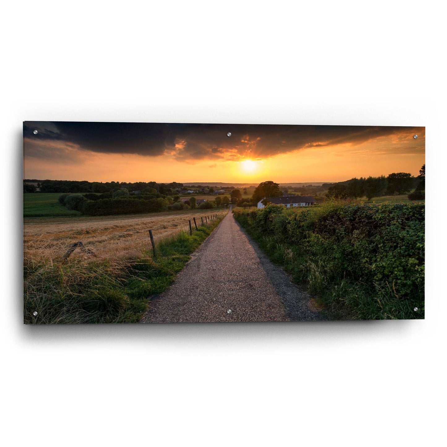 Epic Art 'Road To Sunset Valley' by Istvan Nagy, Acrylic Glass Wall Art,48x24