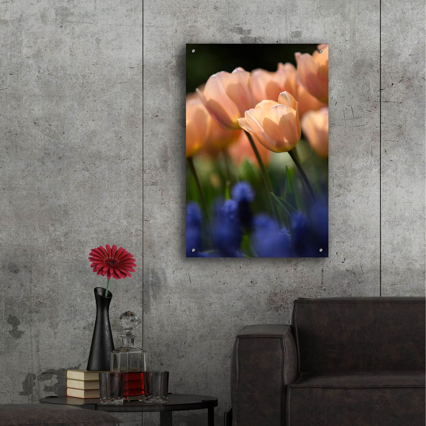 Epic Art 'Tulip No 1' by Istvan Nagy, Acrylic Glass Wall Art,24x36