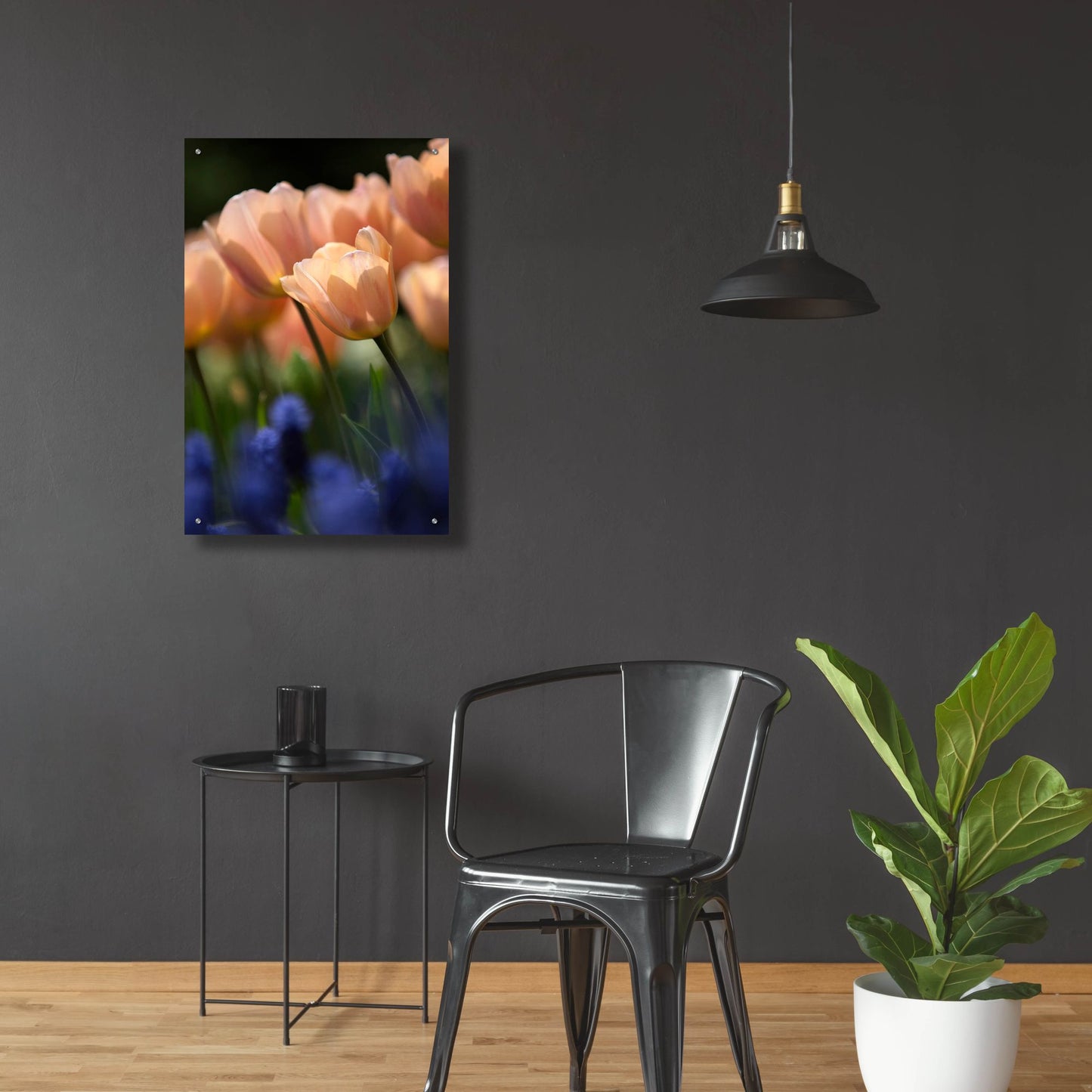 Epic Art 'Tulip No 1' by Istvan Nagy, Acrylic Glass Wall Art,24x36