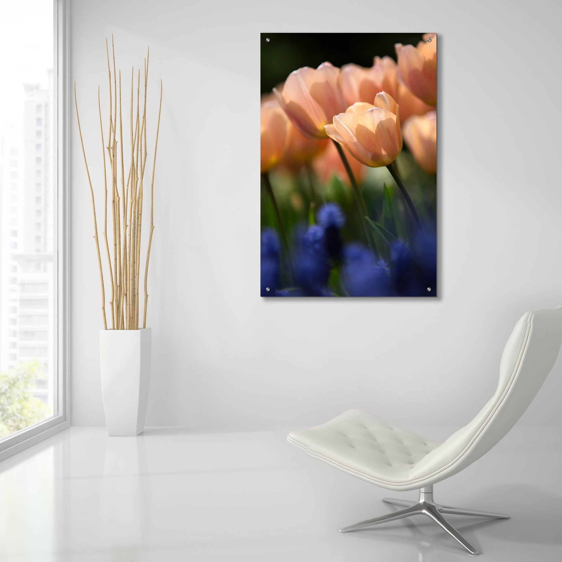 Epic Art 'Tulip No 1' by Istvan Nagy, Acrylic Glass Wall Art,24x36