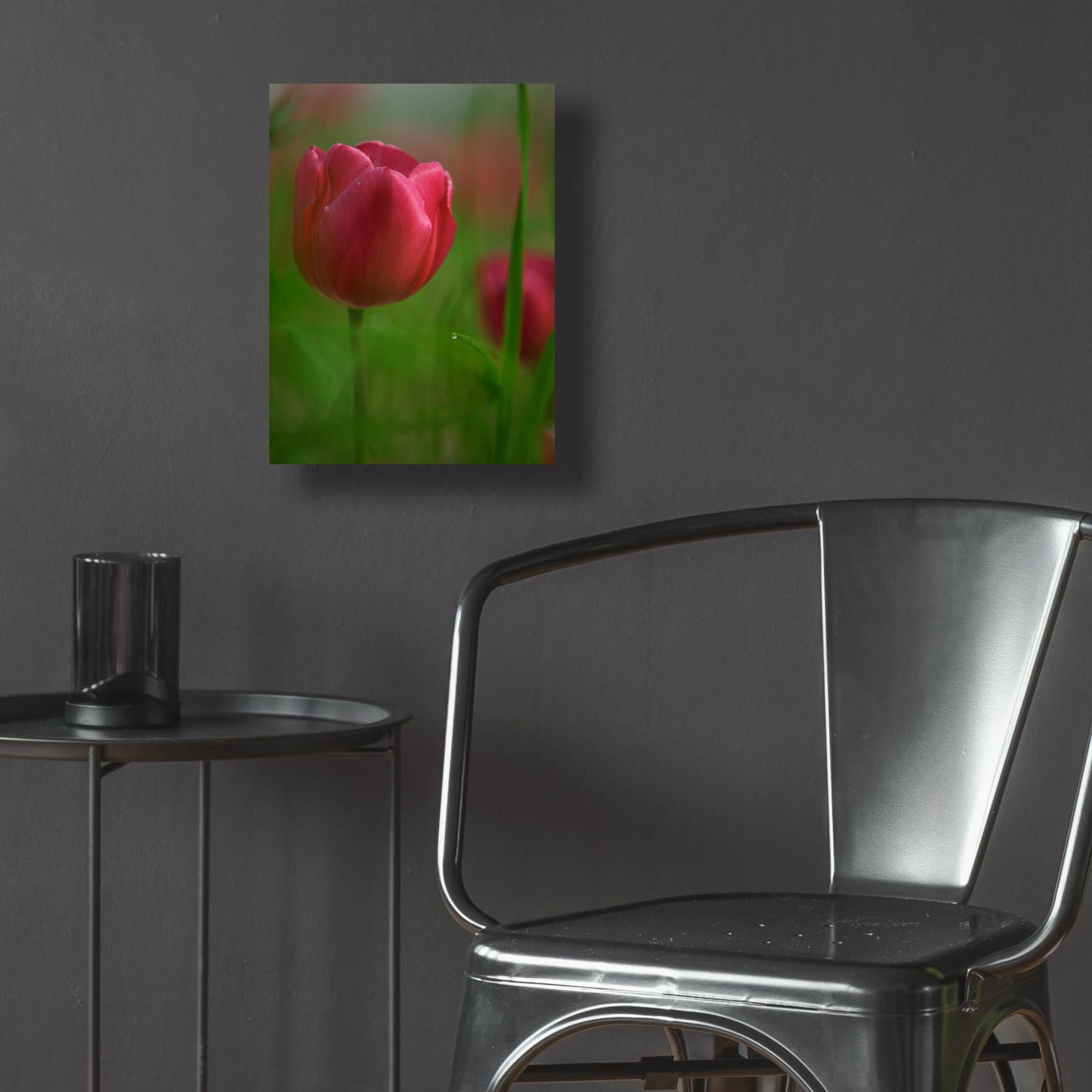 Epic Art 'Tulip No 2' by Istvan Nagy, Acrylic Glass Wall Art,12x16