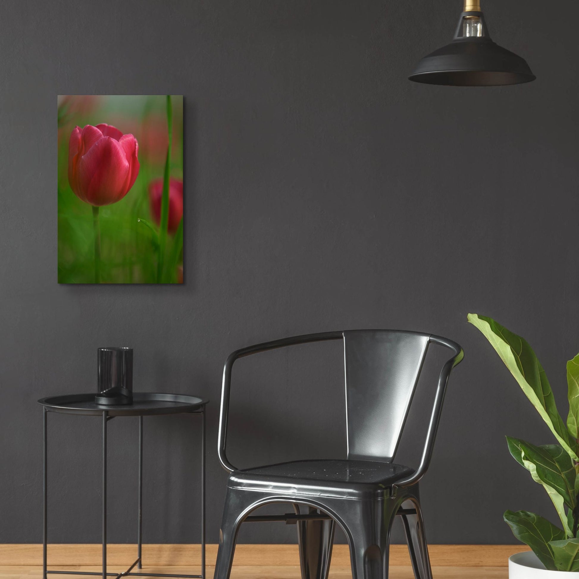 Epic Art 'Tulip No 2' by Istvan Nagy, Acrylic Glass Wall Art,16x24