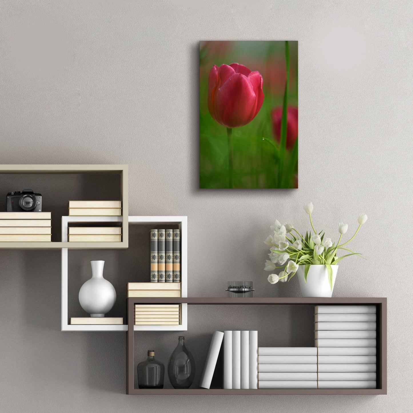 Epic Art 'Tulip No 2' by Istvan Nagy, Acrylic Glass Wall Art,16x24