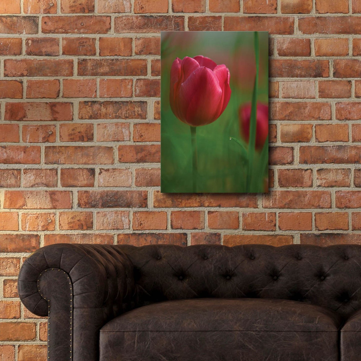 Epic Art 'Tulip No 2' by Istvan Nagy, Acrylic Glass Wall Art,16x24