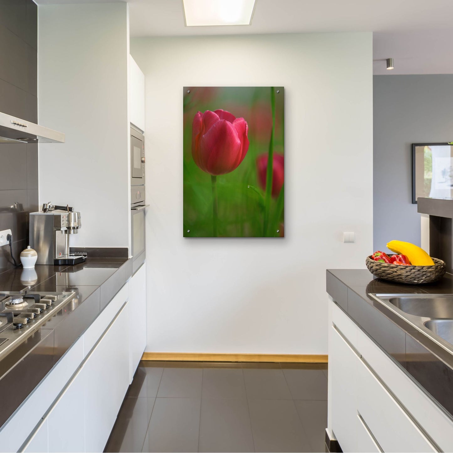 Epic Art 'Tulip No 2' by Istvan Nagy, Acrylic Glass Wall Art,24x36