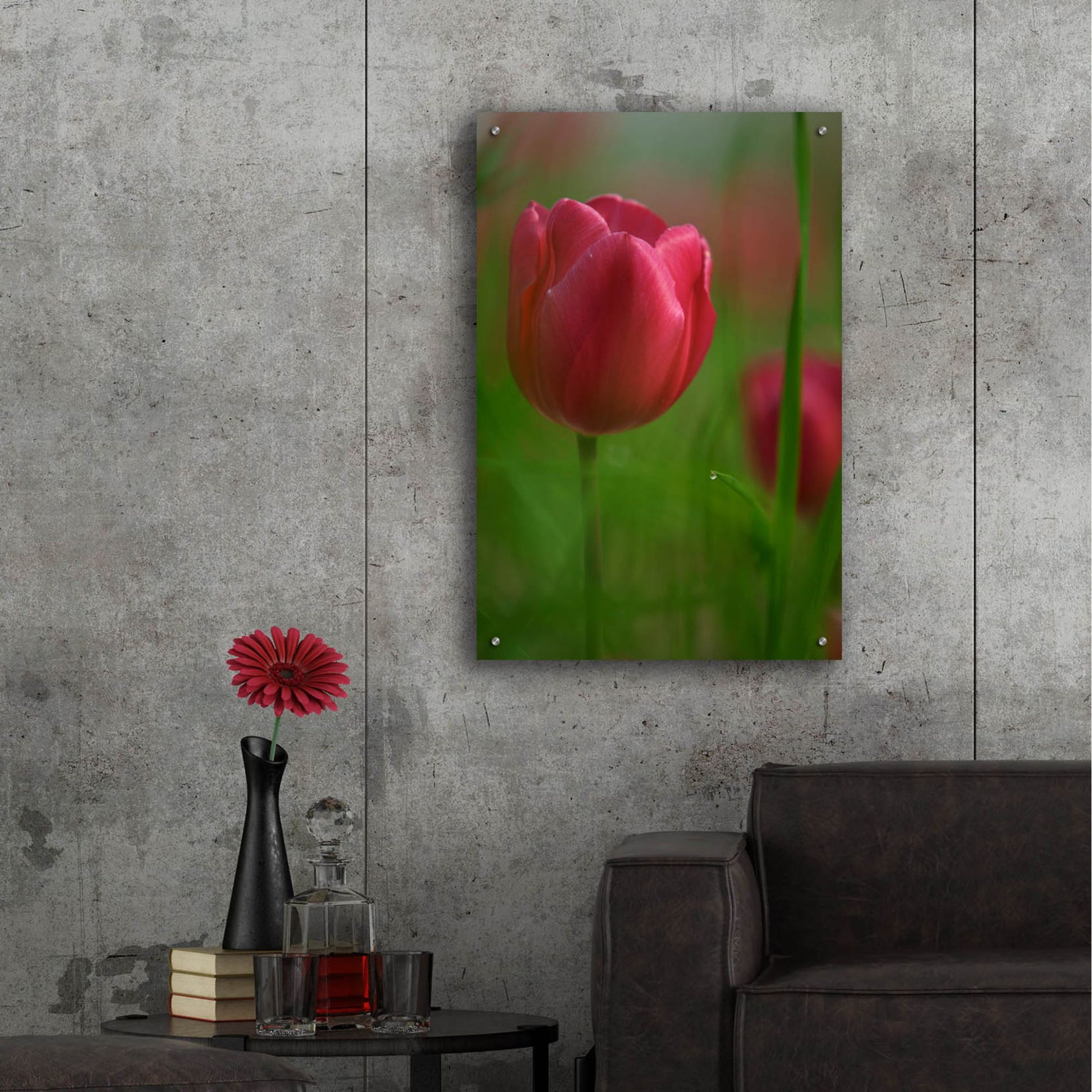 Epic Art 'Tulip No 2' by Istvan Nagy, Acrylic Glass Wall Art,24x36