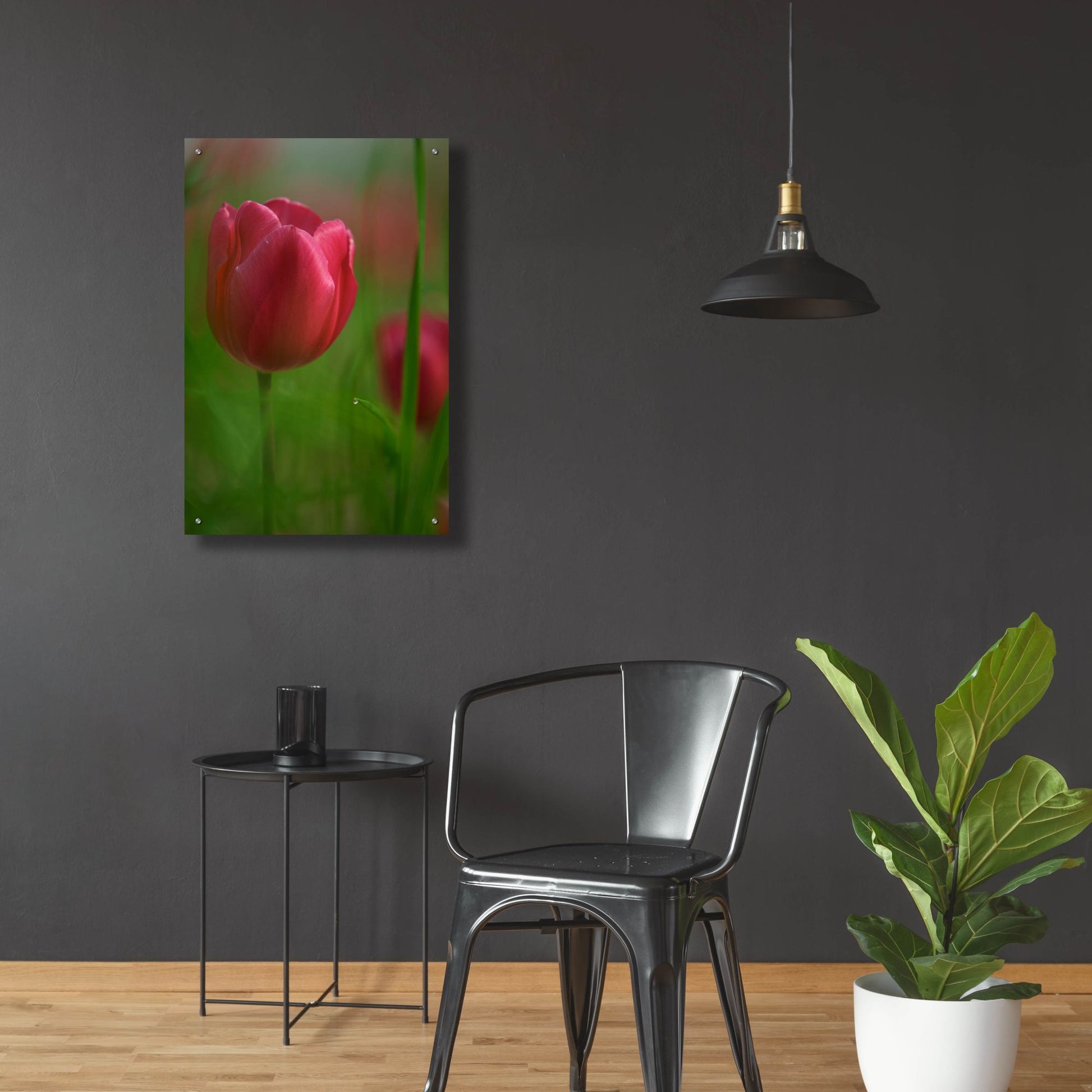 Epic Art 'Tulip No 2' by Istvan Nagy, Acrylic Glass Wall Art,24x36