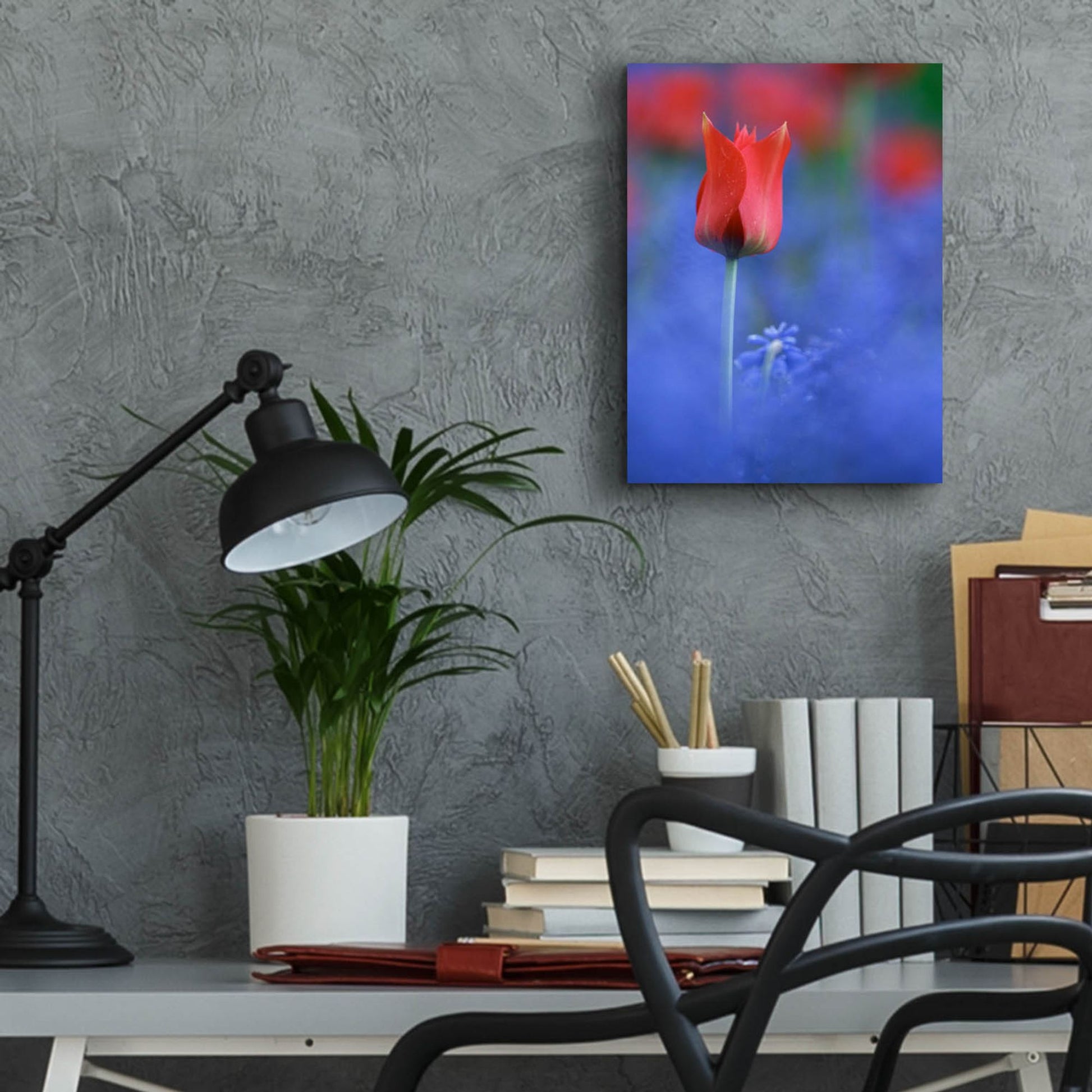 Epic Art 'Tulip No 3' by Istvan Nagy, Acrylic Glass Wall Art,12x16