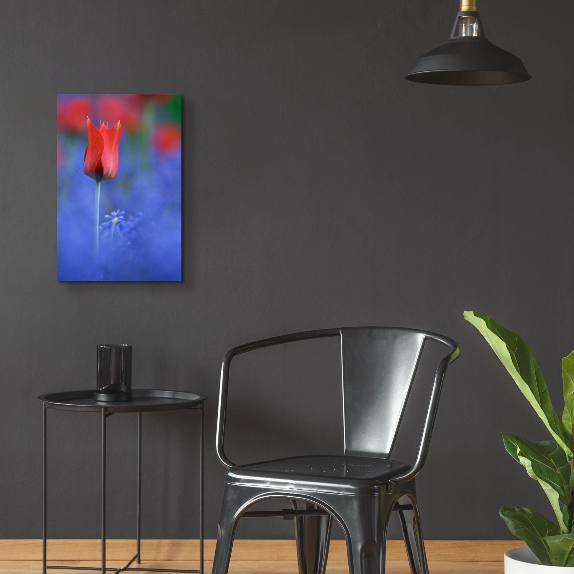 Epic Art 'Tulip No 3' by Istvan Nagy, Acrylic Glass Wall Art,16x24