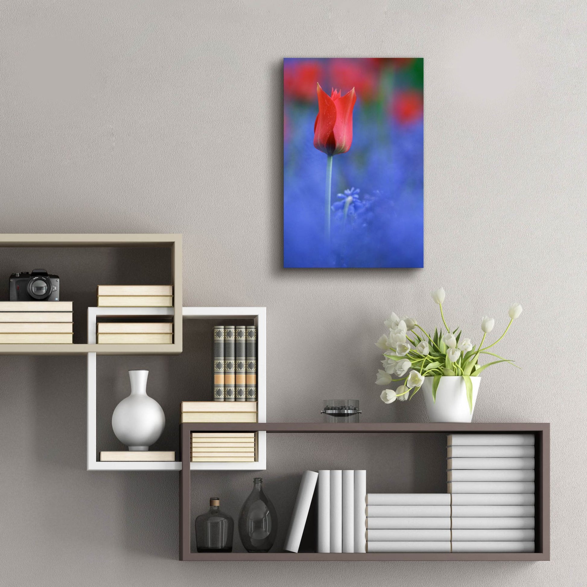 Epic Art 'Tulip No 3' by Istvan Nagy, Acrylic Glass Wall Art,16x24