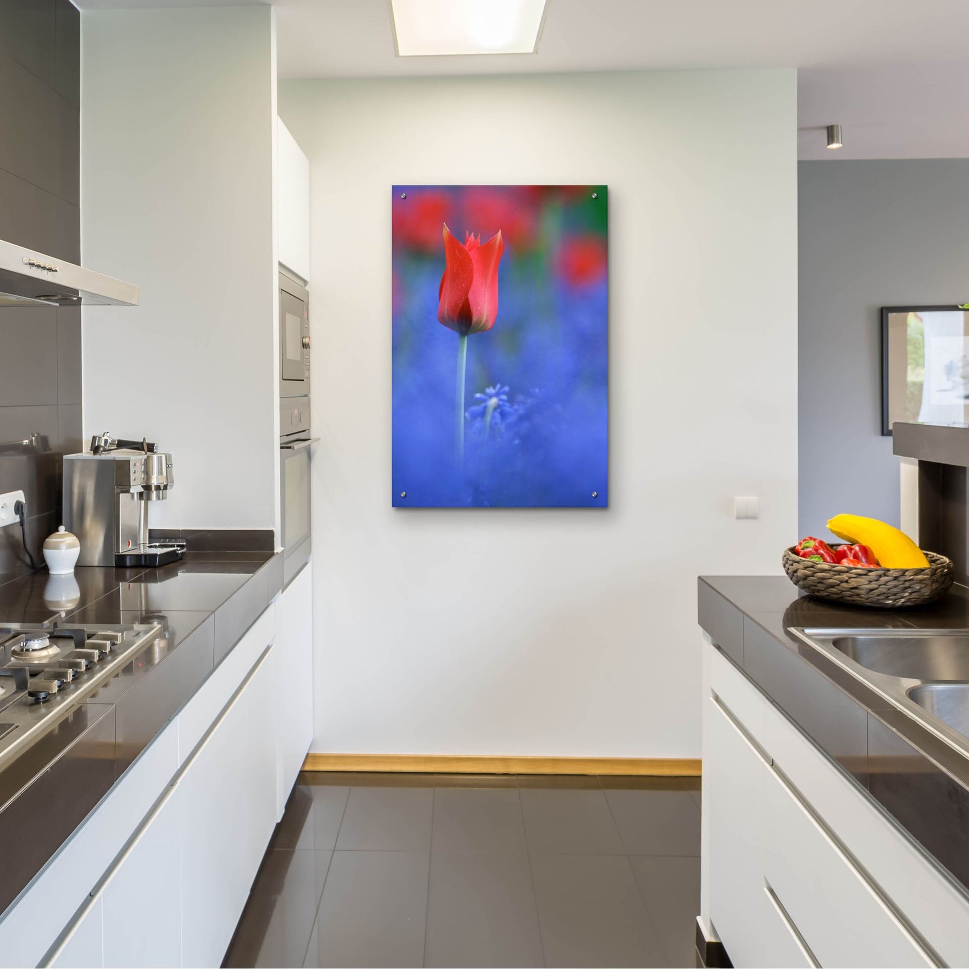 Epic Art 'Tulip No 3' by Istvan Nagy, Acrylic Glass Wall Art,24x36