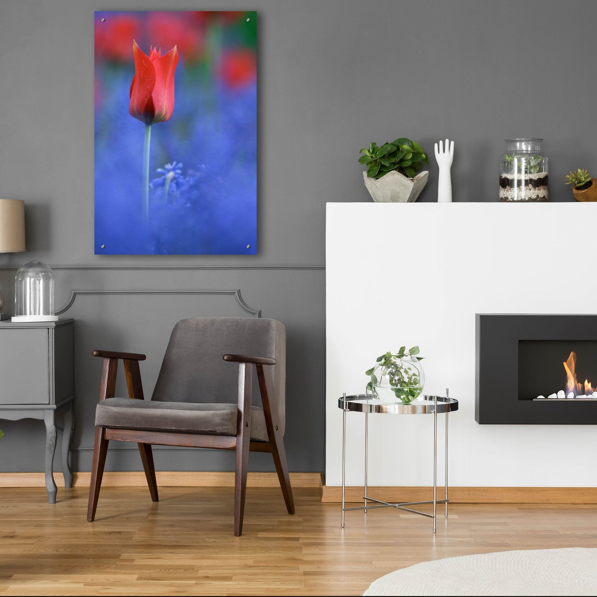 Epic Art 'Tulip No 3' by Istvan Nagy, Acrylic Glass Wall Art,24x36