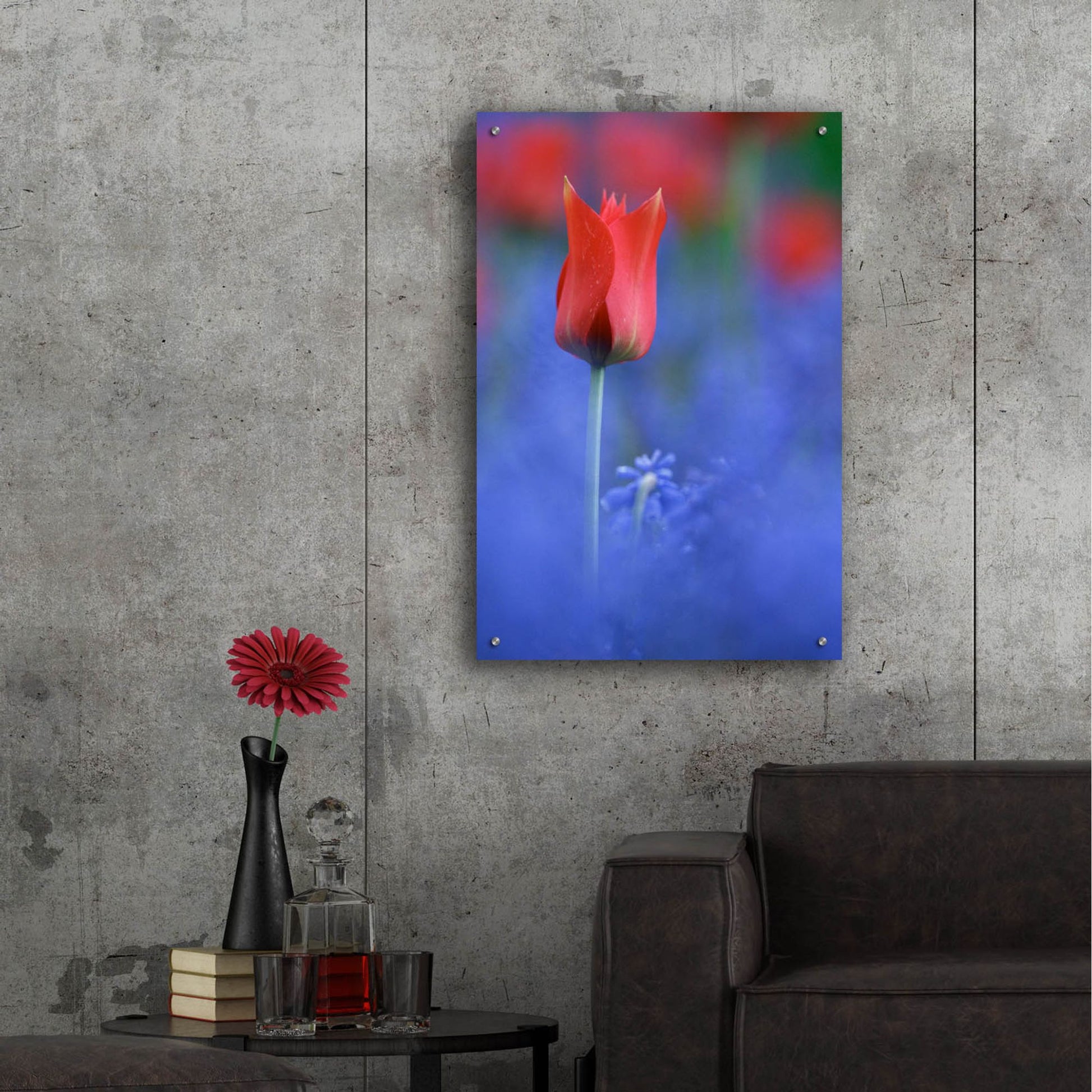 Epic Art 'Tulip No 3' by Istvan Nagy, Acrylic Glass Wall Art,24x36