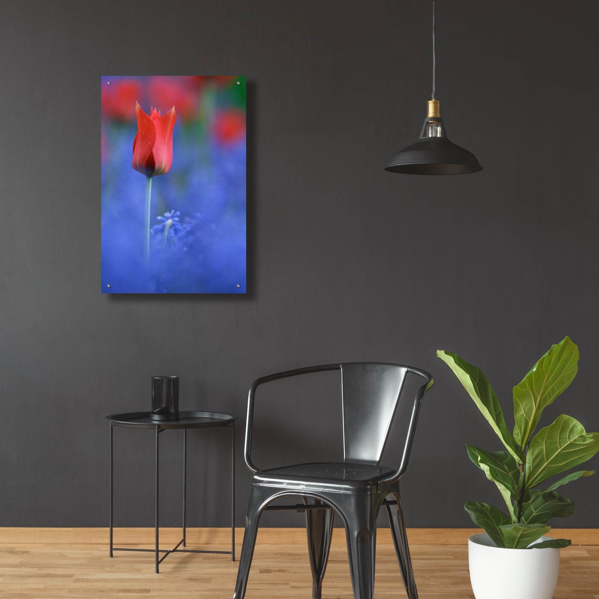 Epic Art 'Tulip No 3' by Istvan Nagy, Acrylic Glass Wall Art,24x36