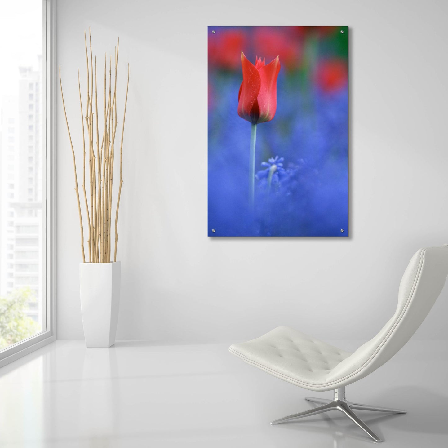 Epic Art 'Tulip No 3' by Istvan Nagy, Acrylic Glass Wall Art,24x36