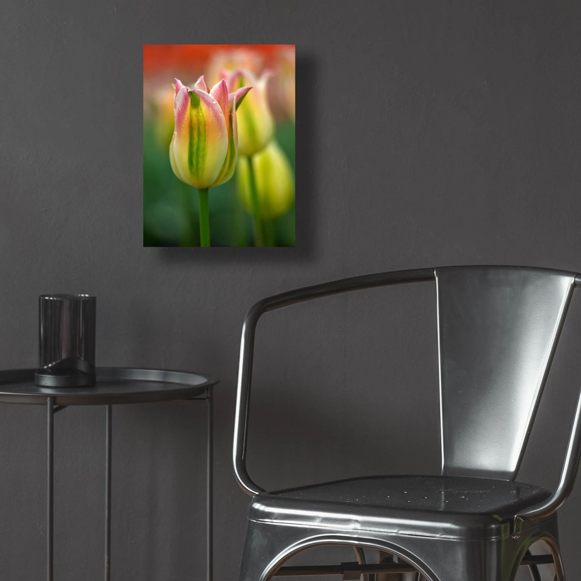 Epic Art 'Tulip No 4' by Istvan Nagy, Acrylic Glass Wall Art,12x16