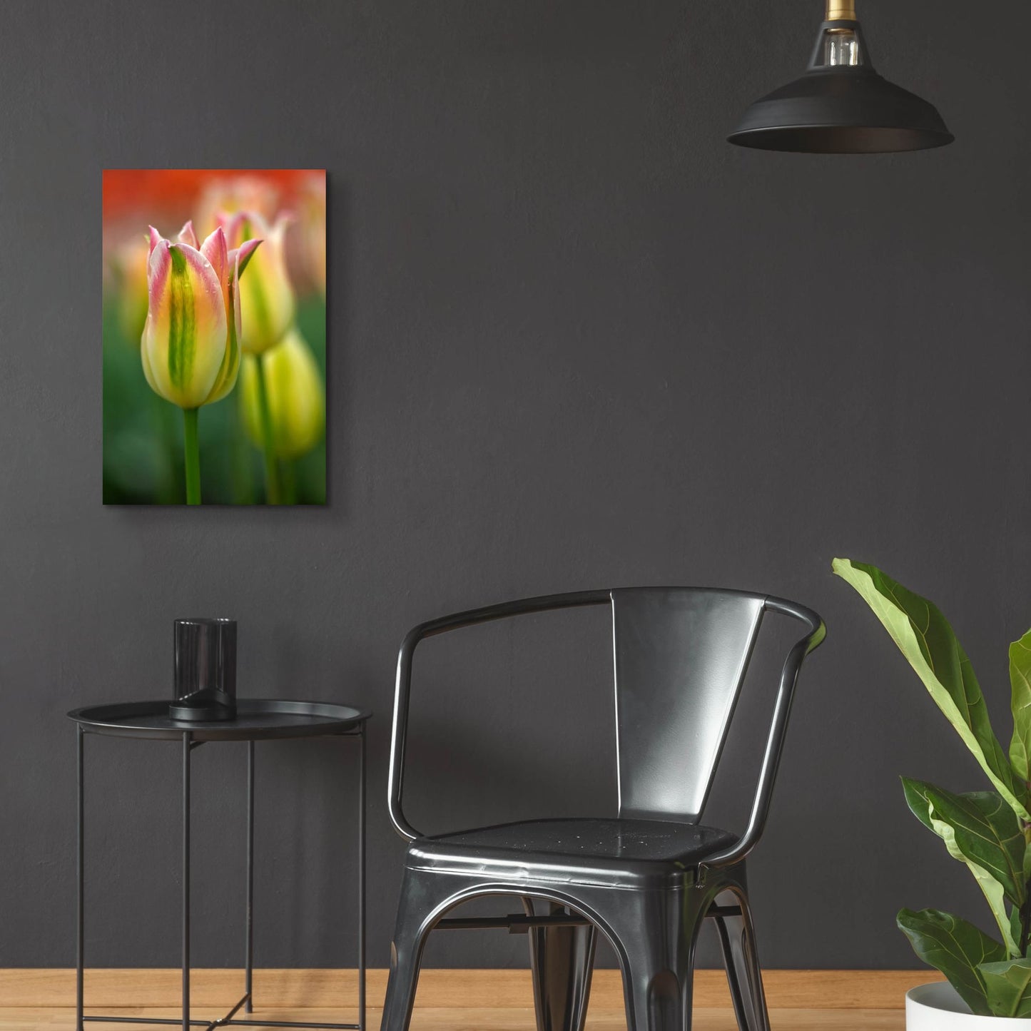 Epic Art 'Tulip No 4' by Istvan Nagy, Acrylic Glass Wall Art,16x24