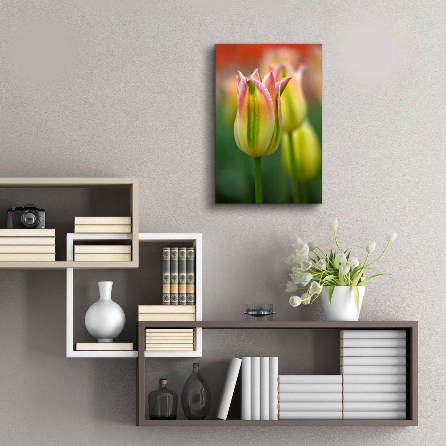 Epic Art 'Tulip No 4' by Istvan Nagy, Acrylic Glass Wall Art,16x24