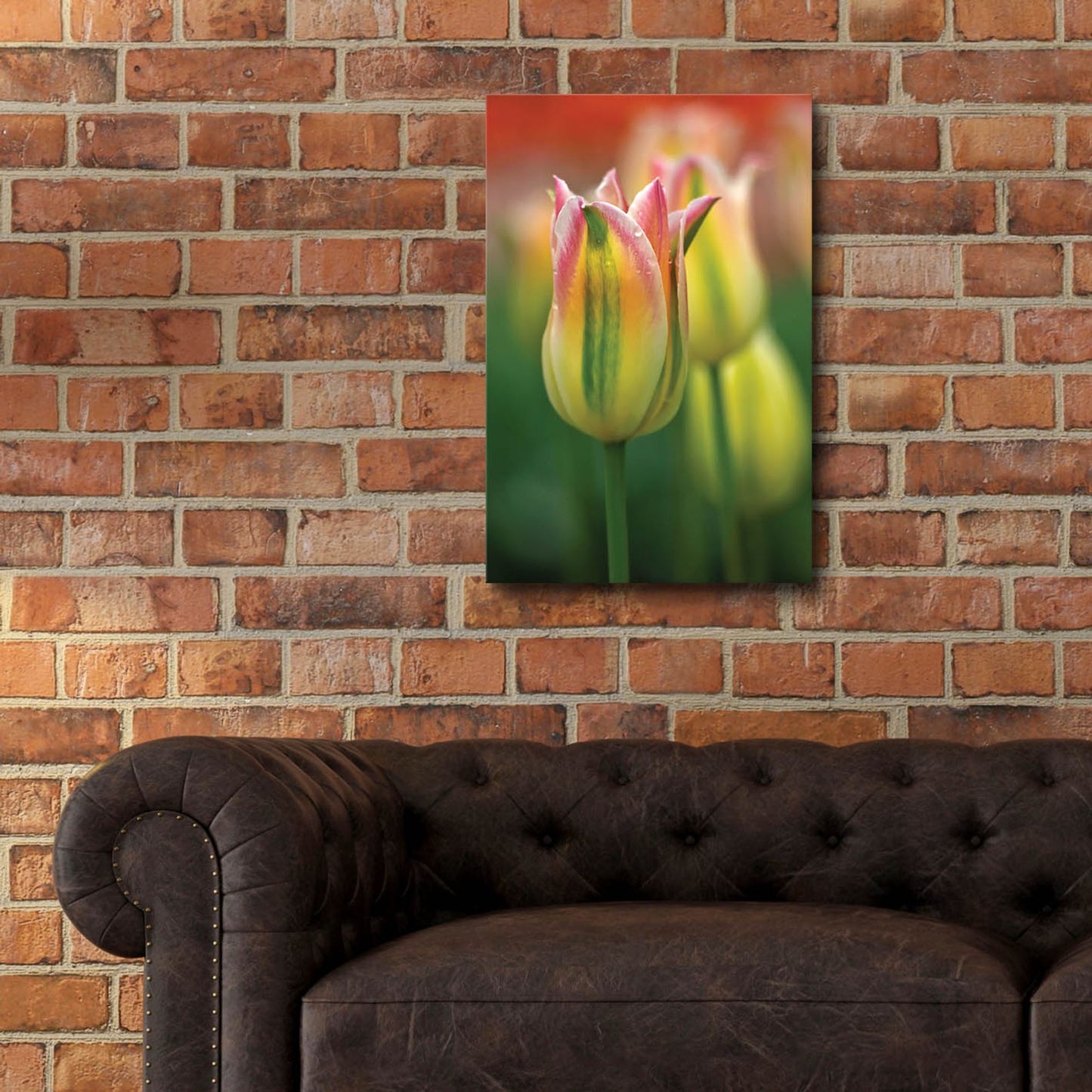 Epic Art 'Tulip No 4' by Istvan Nagy, Acrylic Glass Wall Art,16x24