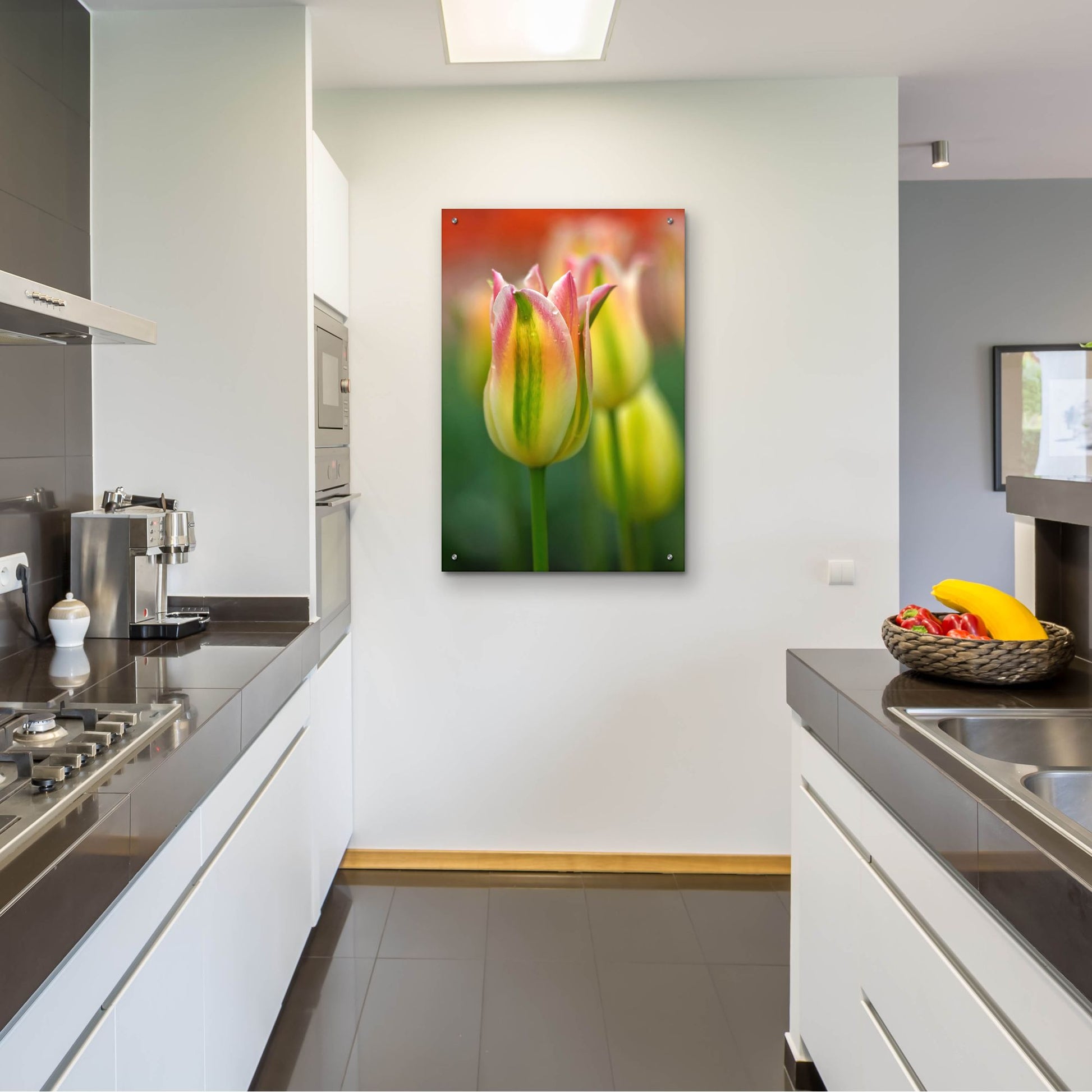 Epic Art 'Tulip No 4' by Istvan Nagy, Acrylic Glass Wall Art,24x36