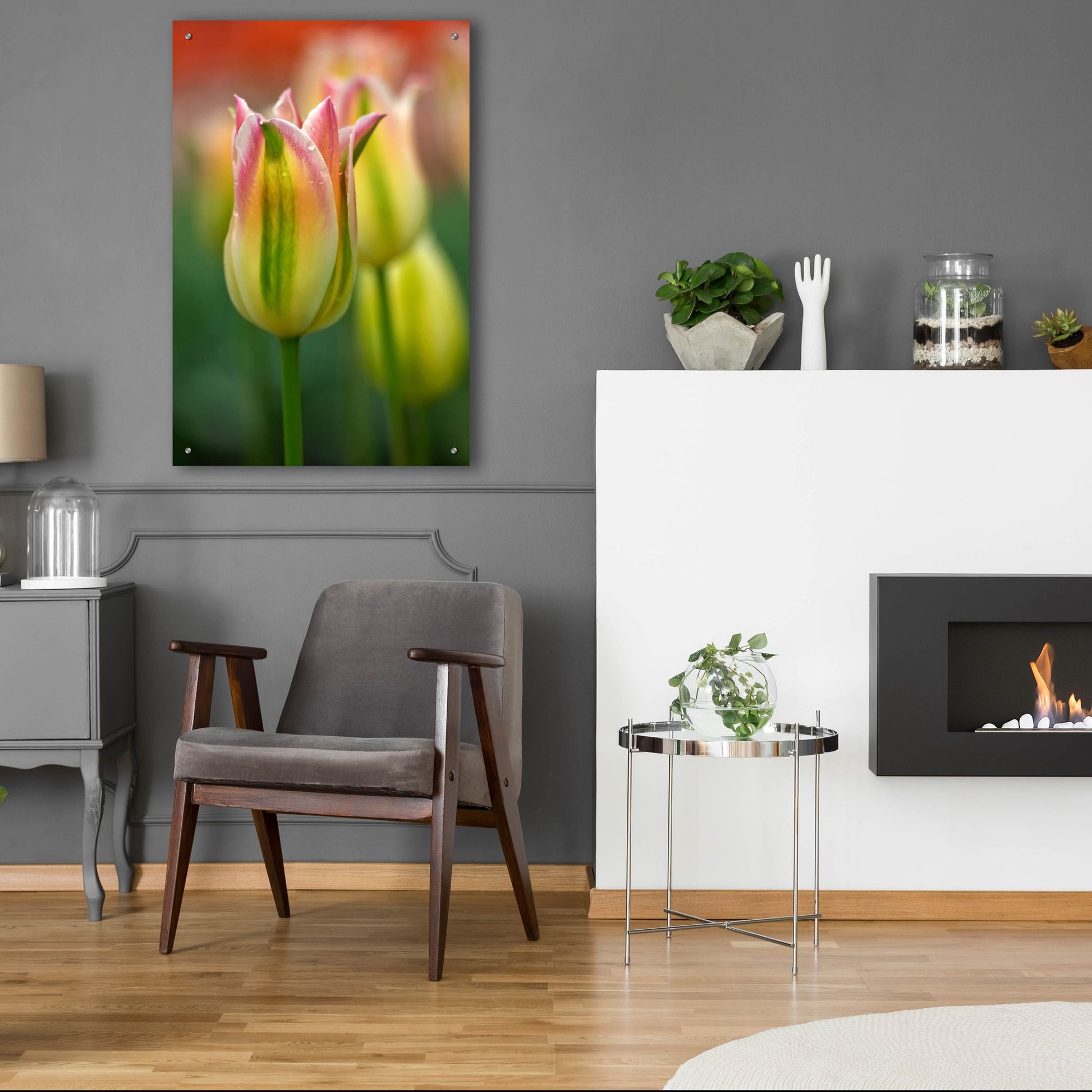 Epic Art 'Tulip No 4' by Istvan Nagy, Acrylic Glass Wall Art,24x36