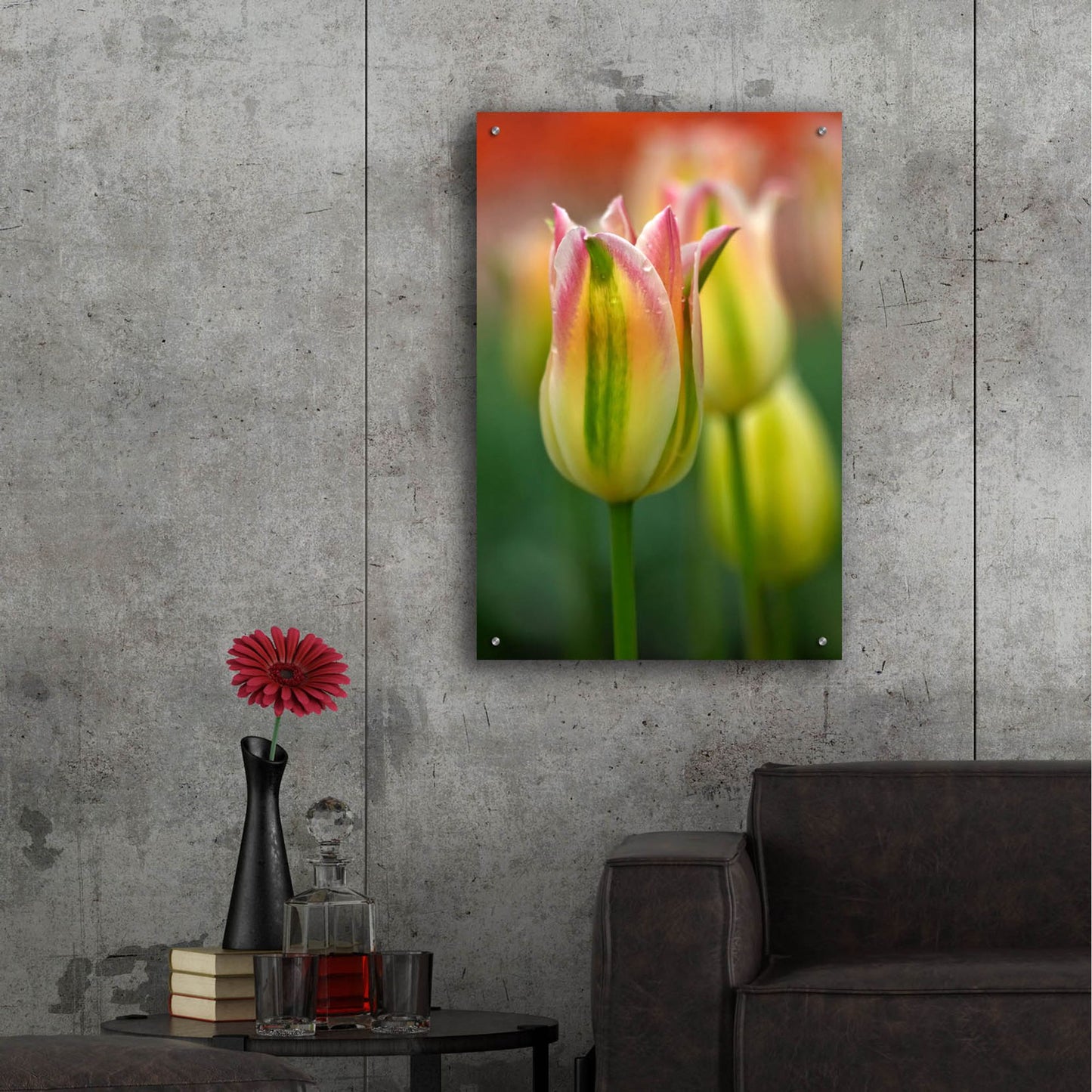 Epic Art 'Tulip No 4' by Istvan Nagy, Acrylic Glass Wall Art,24x36