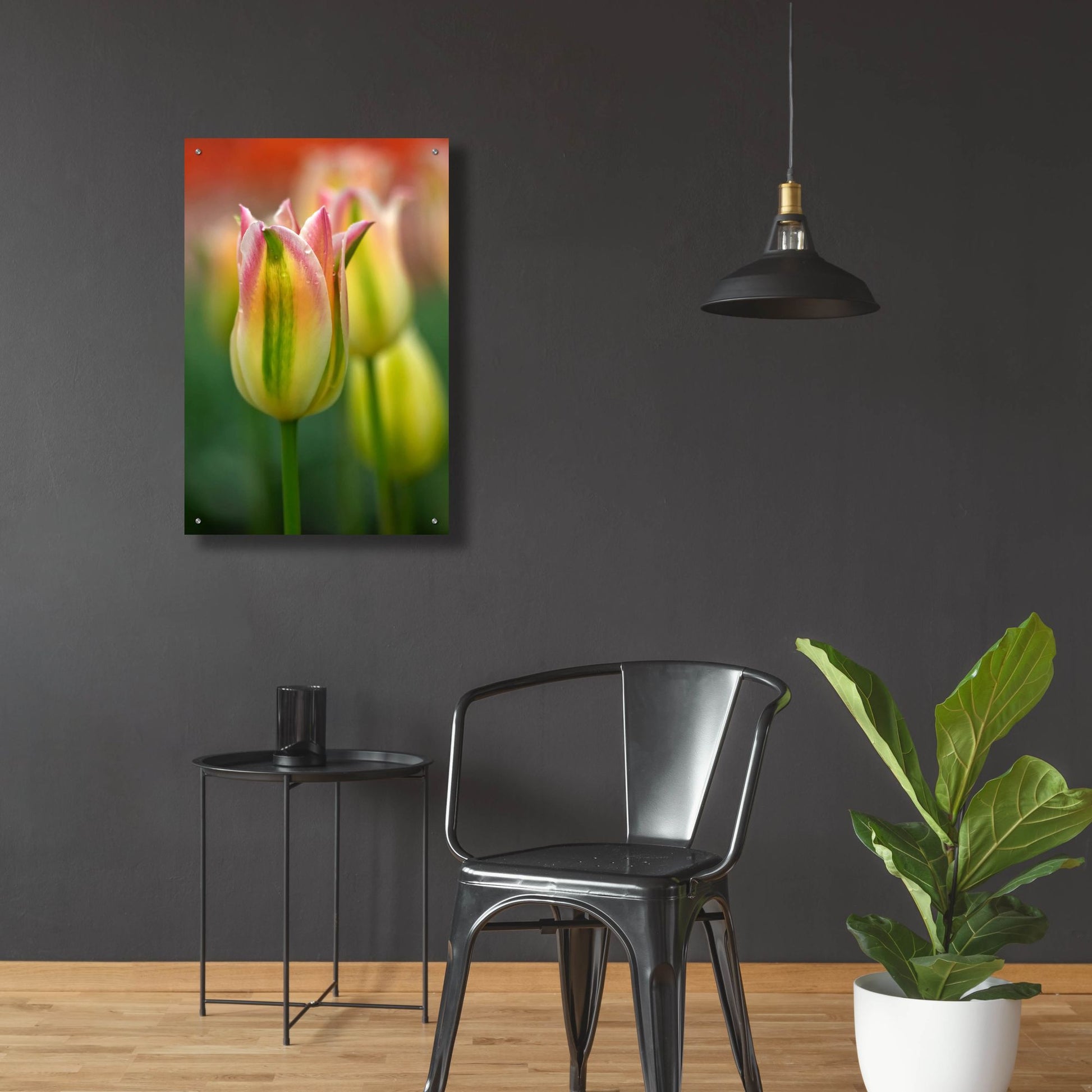 Epic Art 'Tulip No 4' by Istvan Nagy, Acrylic Glass Wall Art,24x36