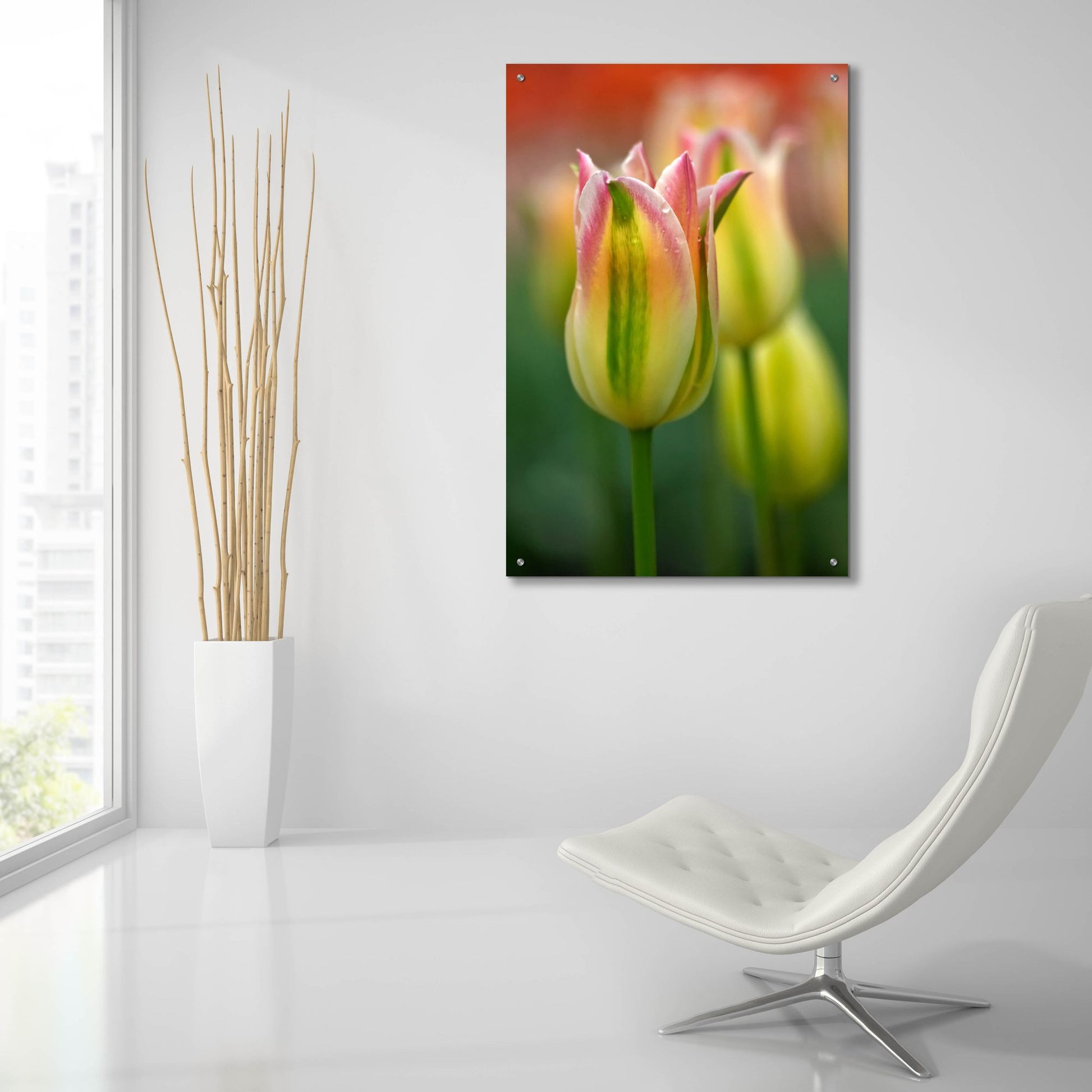 Epic Art 'Tulip No 4' by Istvan Nagy, Acrylic Glass Wall Art,24x36