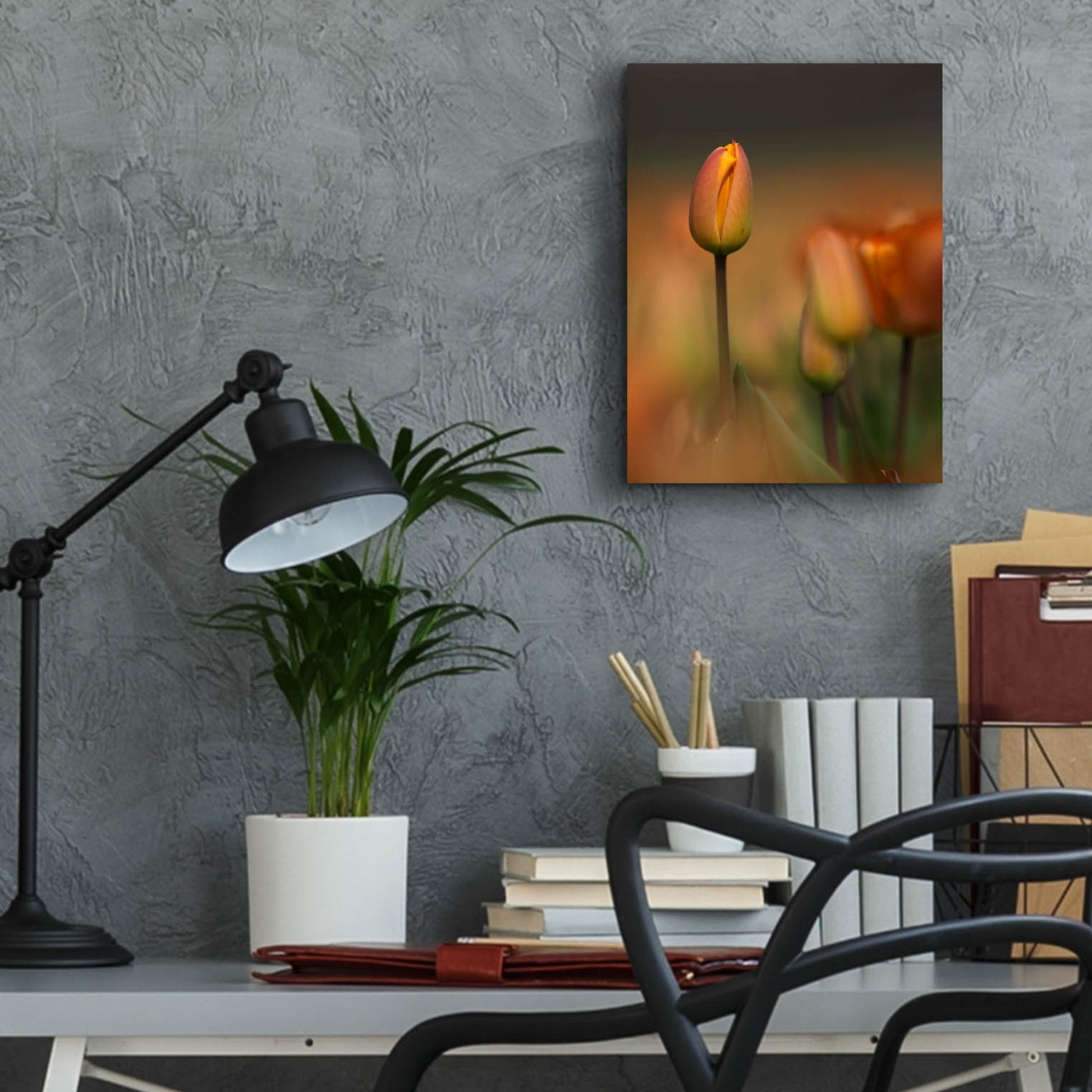 Epic Art 'Tulip No 5' by Istvan Nagy, Acrylic Glass Wall Art,12x16