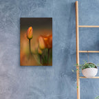 Epic Art 'Tulip No 5' by Istvan Nagy, Acrylic Glass Wall Art,16x24