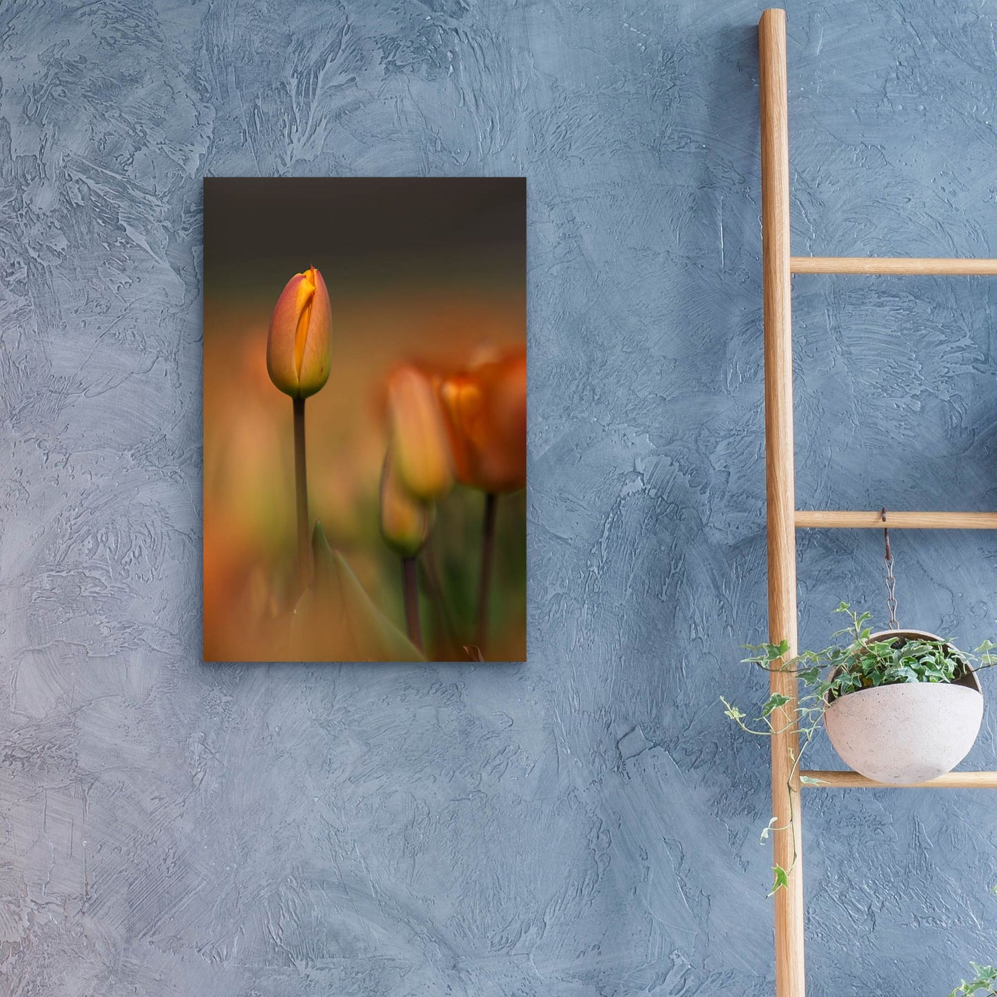 Epic Art 'Tulip No 5' by Istvan Nagy, Acrylic Glass Wall Art,16x24