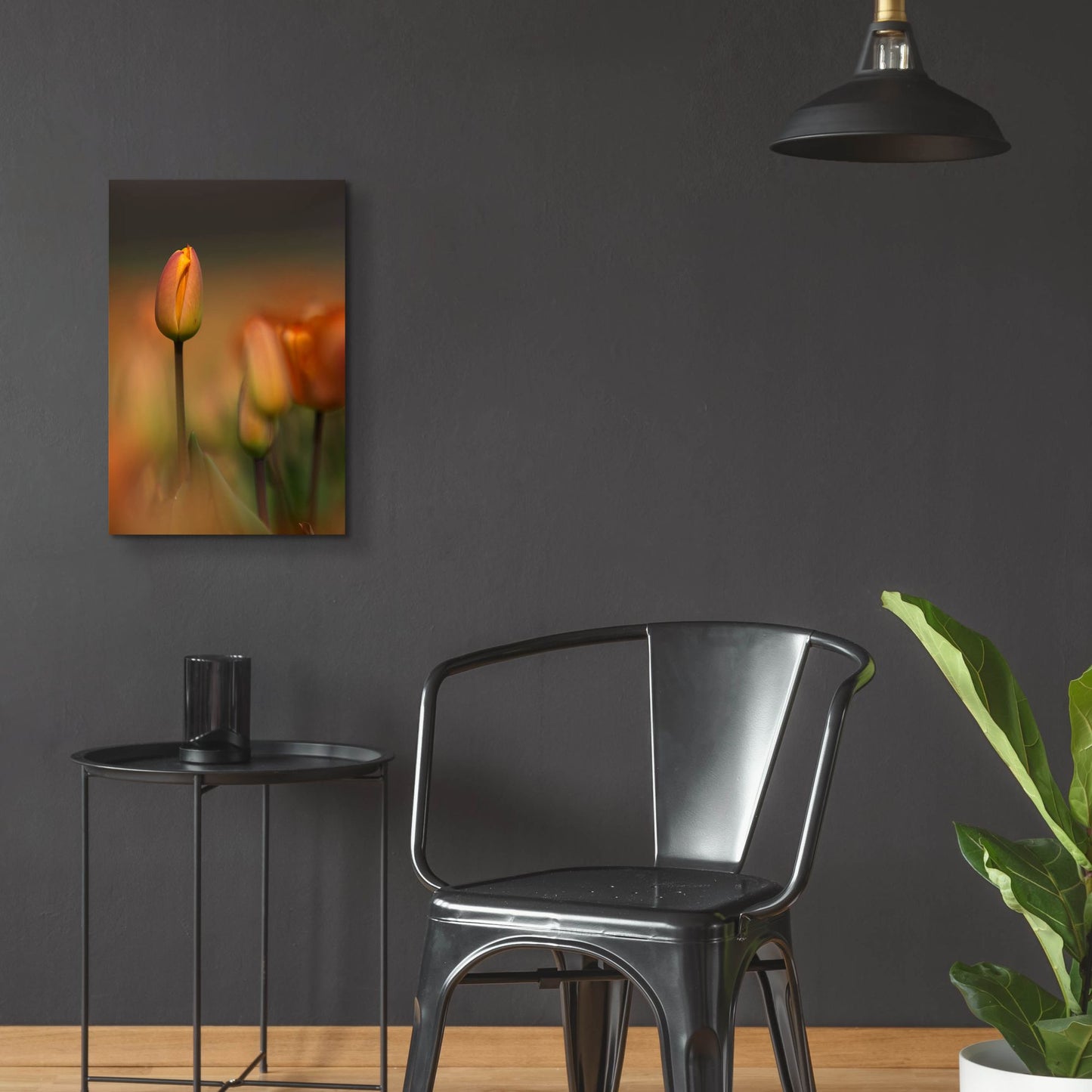 Epic Art 'Tulip No 5' by Istvan Nagy, Acrylic Glass Wall Art,16x24